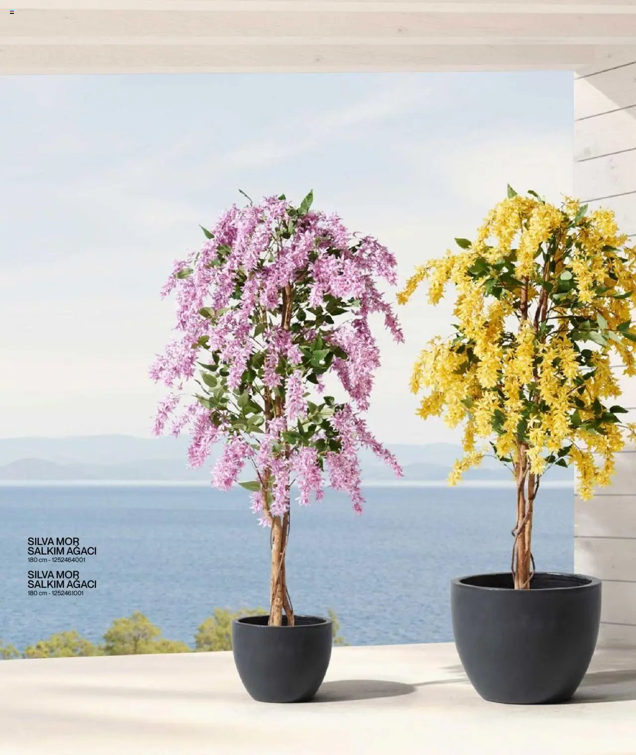 Mudo Katalog - BAHÇE 2025