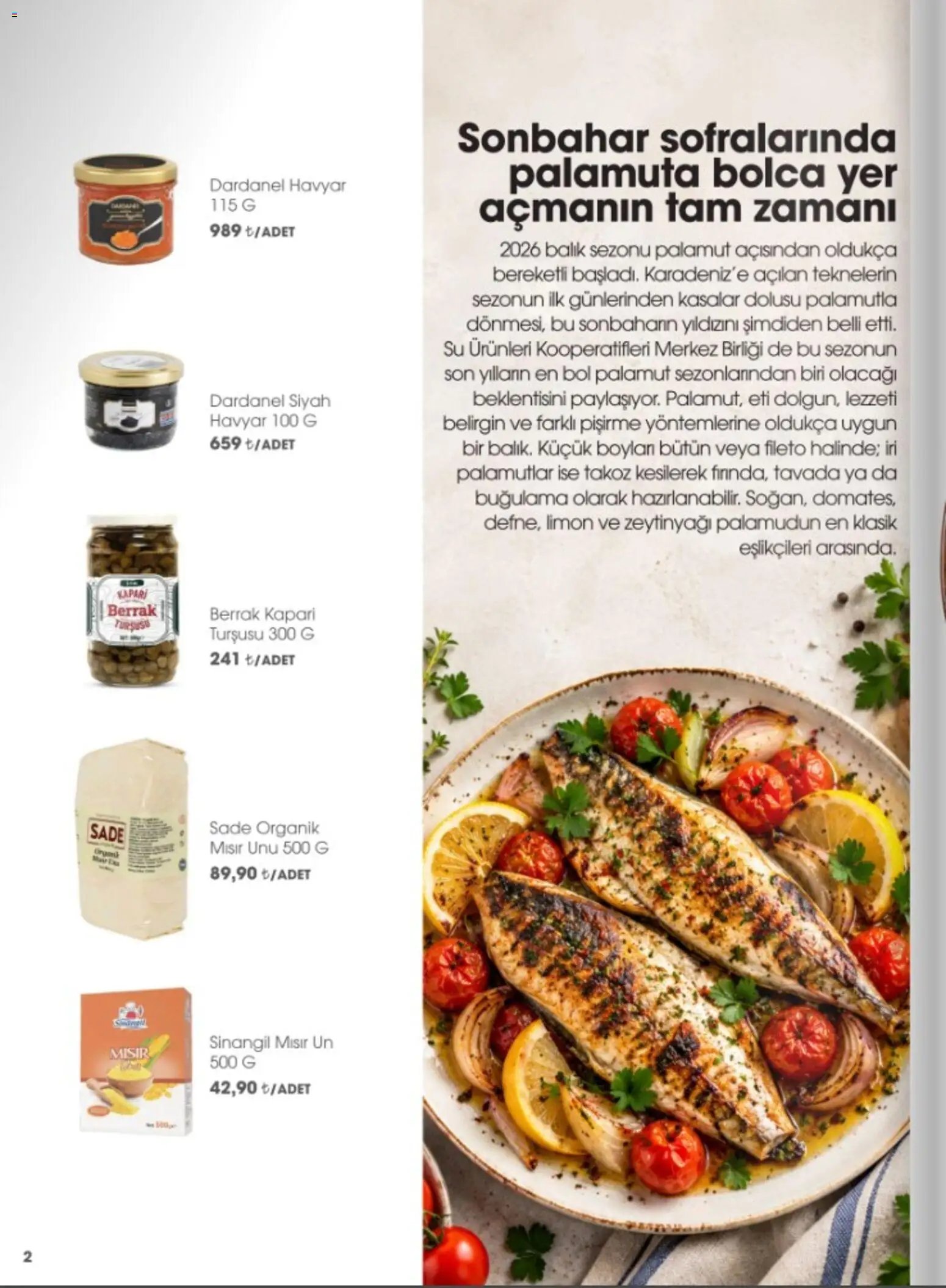 CarrefourSA - Katalog Gurme