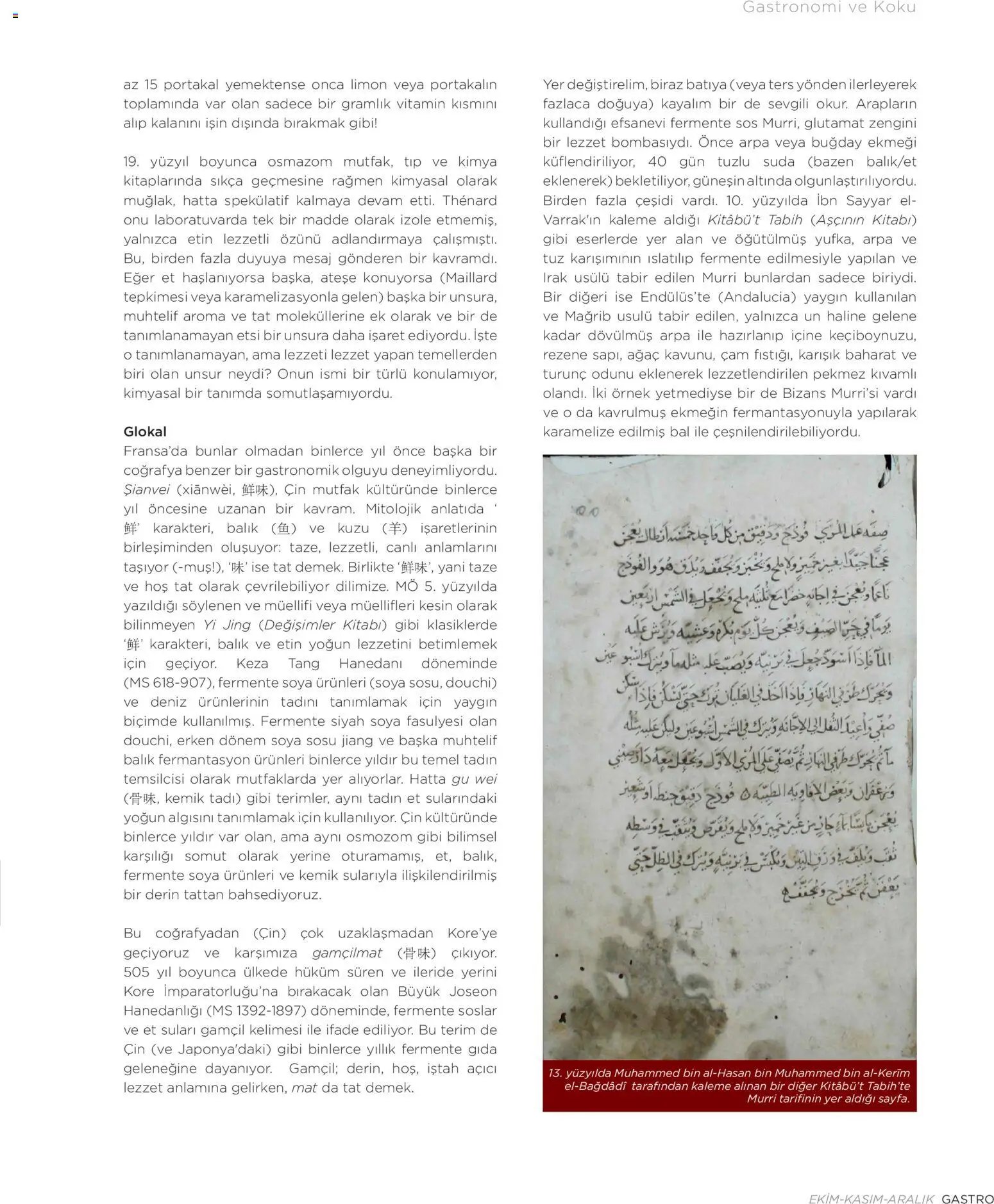 Metr  Katalog Gastro Ekim - Kasım - Aralık 2025