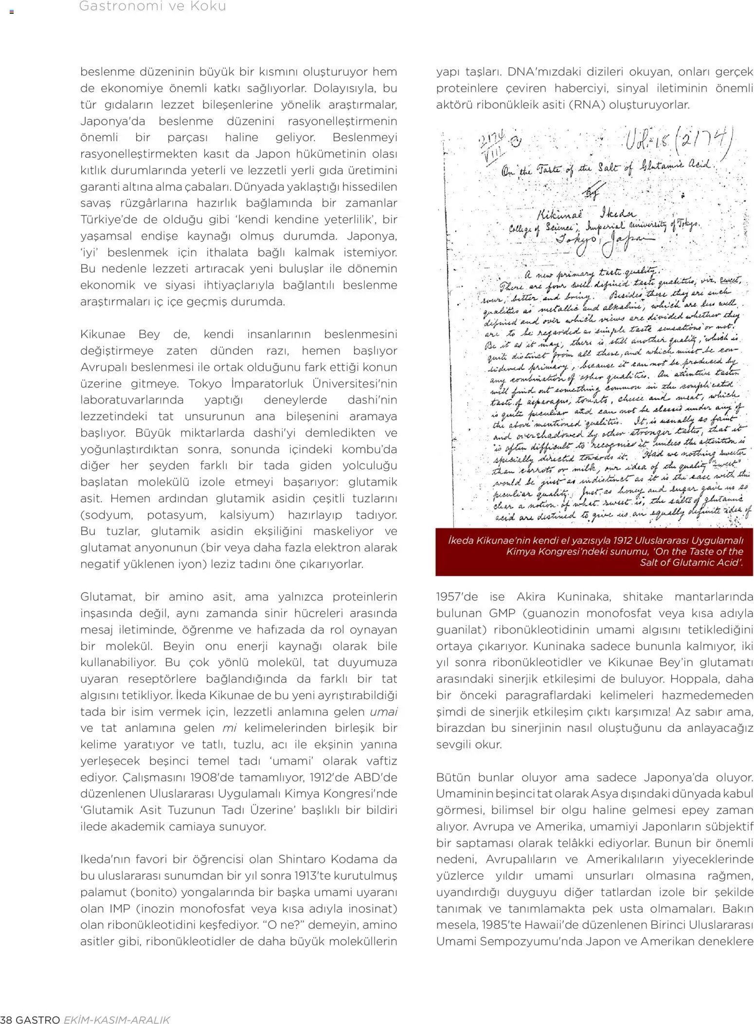 Metr  Katalog Gastro Ekim - Kasım - Aralık 2025