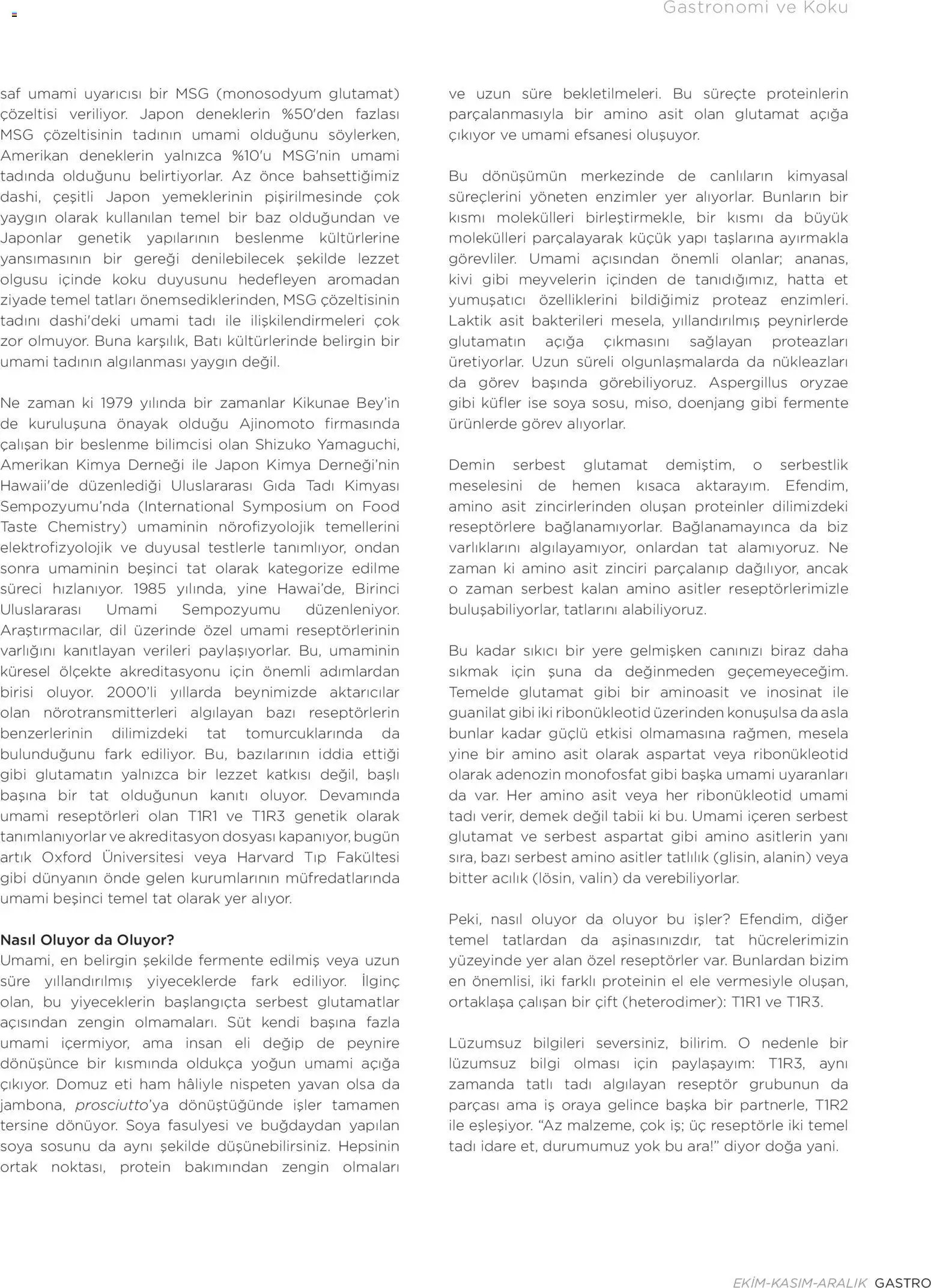 Metr  Katalog Gastro Ekim - Kasım - Aralık 2025