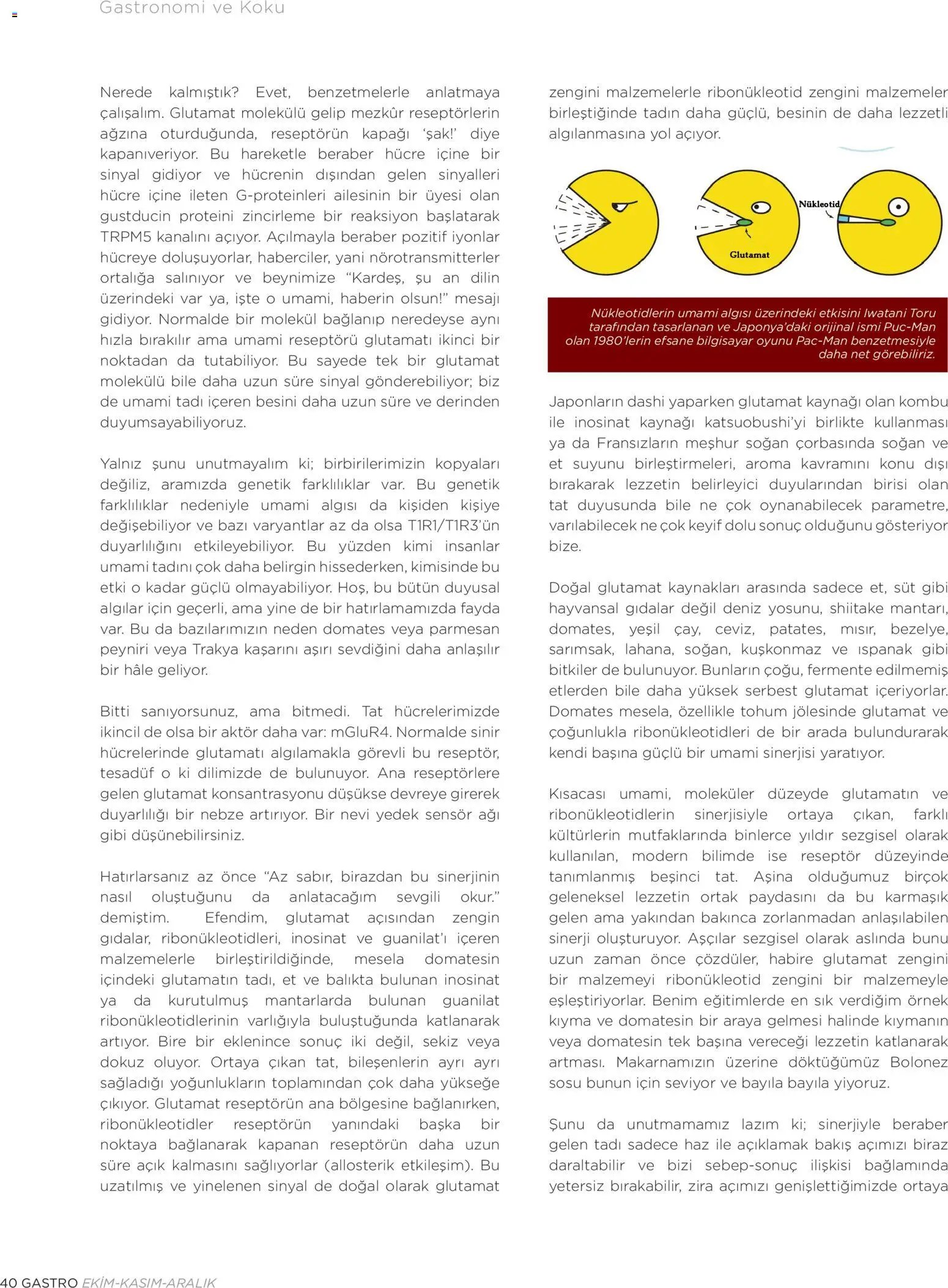 Metr  Katalog Gastro Ekim - Kasım - Aralık 2025