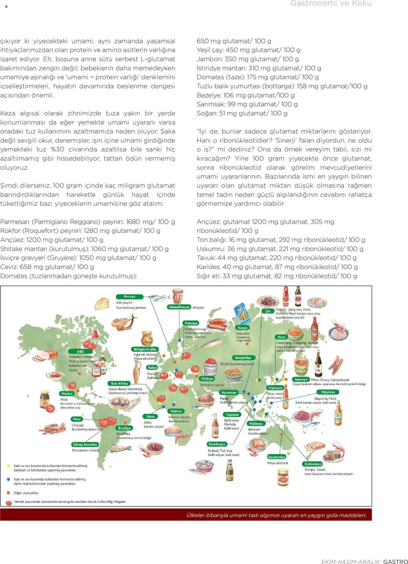 Metr  Katalog Gastro Ekim - Kasım - Aralık 2025