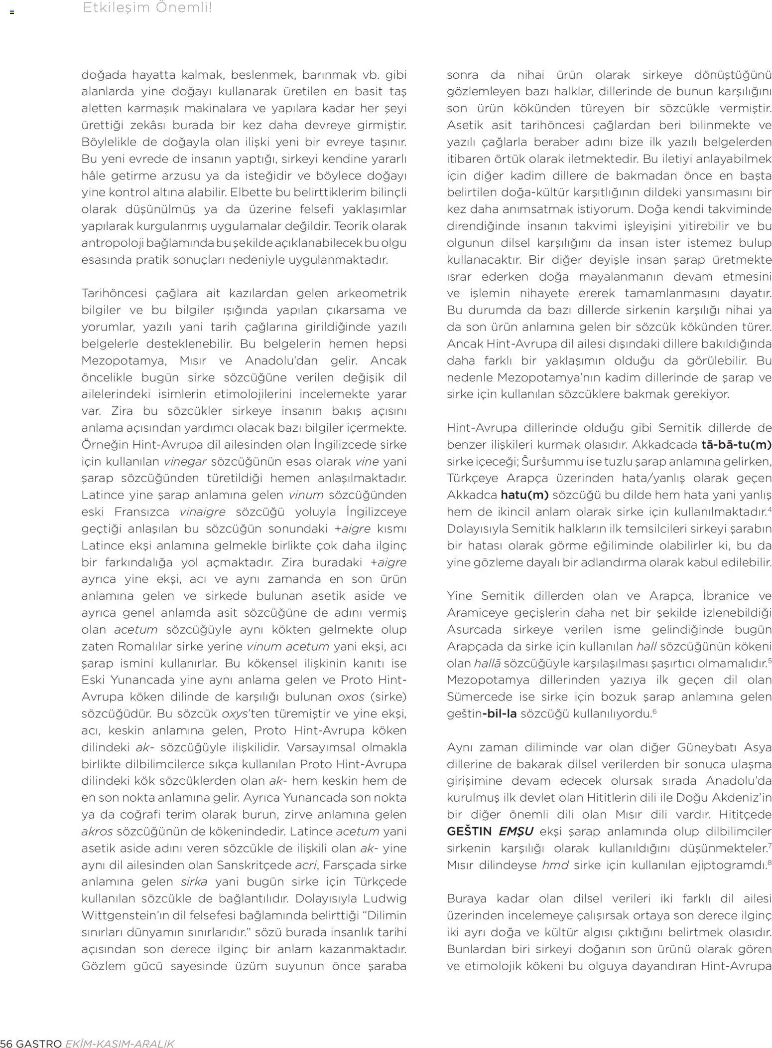 Metr  Katalog Gastro Ekim - Kasım - Aralık 2025