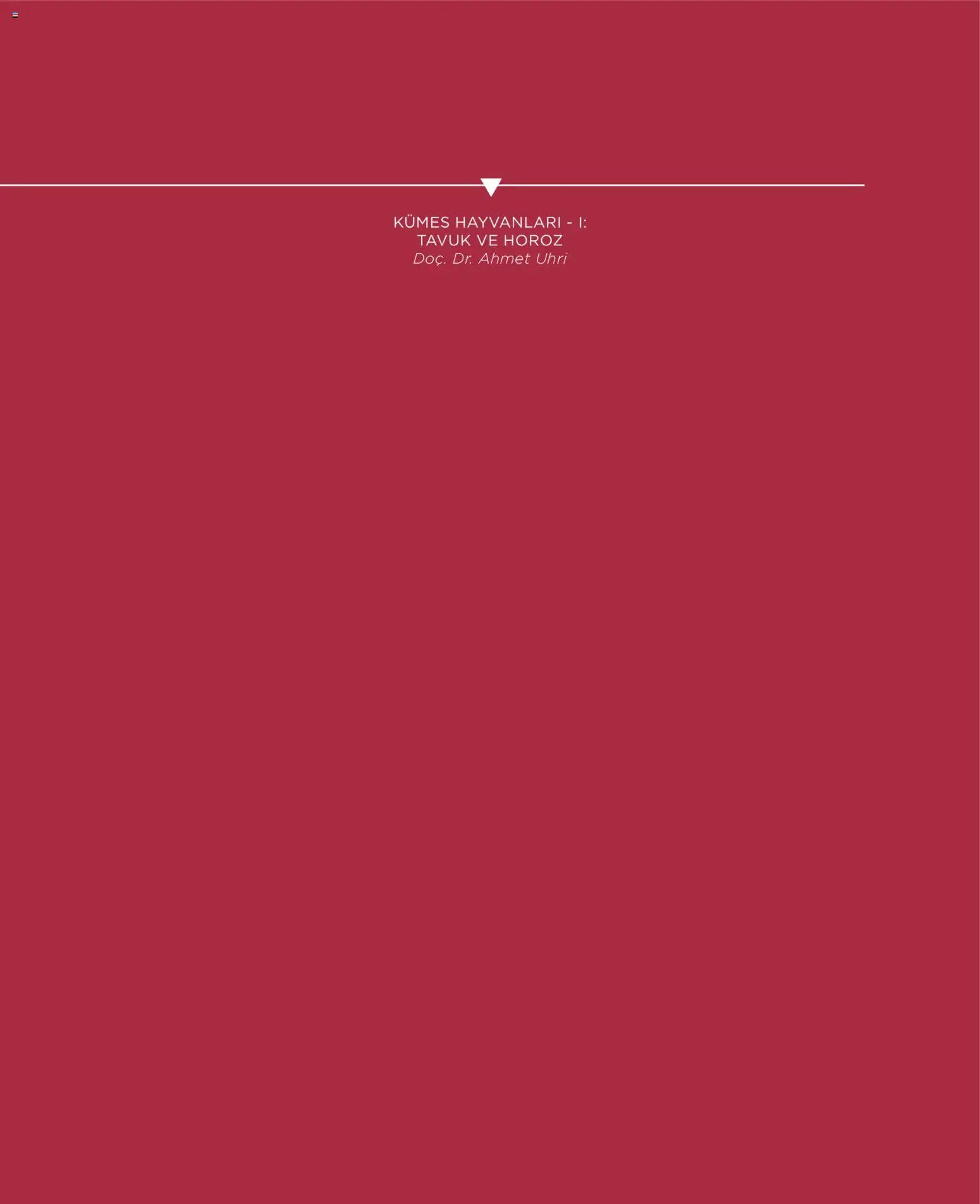 Metr  Katalog Gastro Ekim - Kasım - Aralık 2025