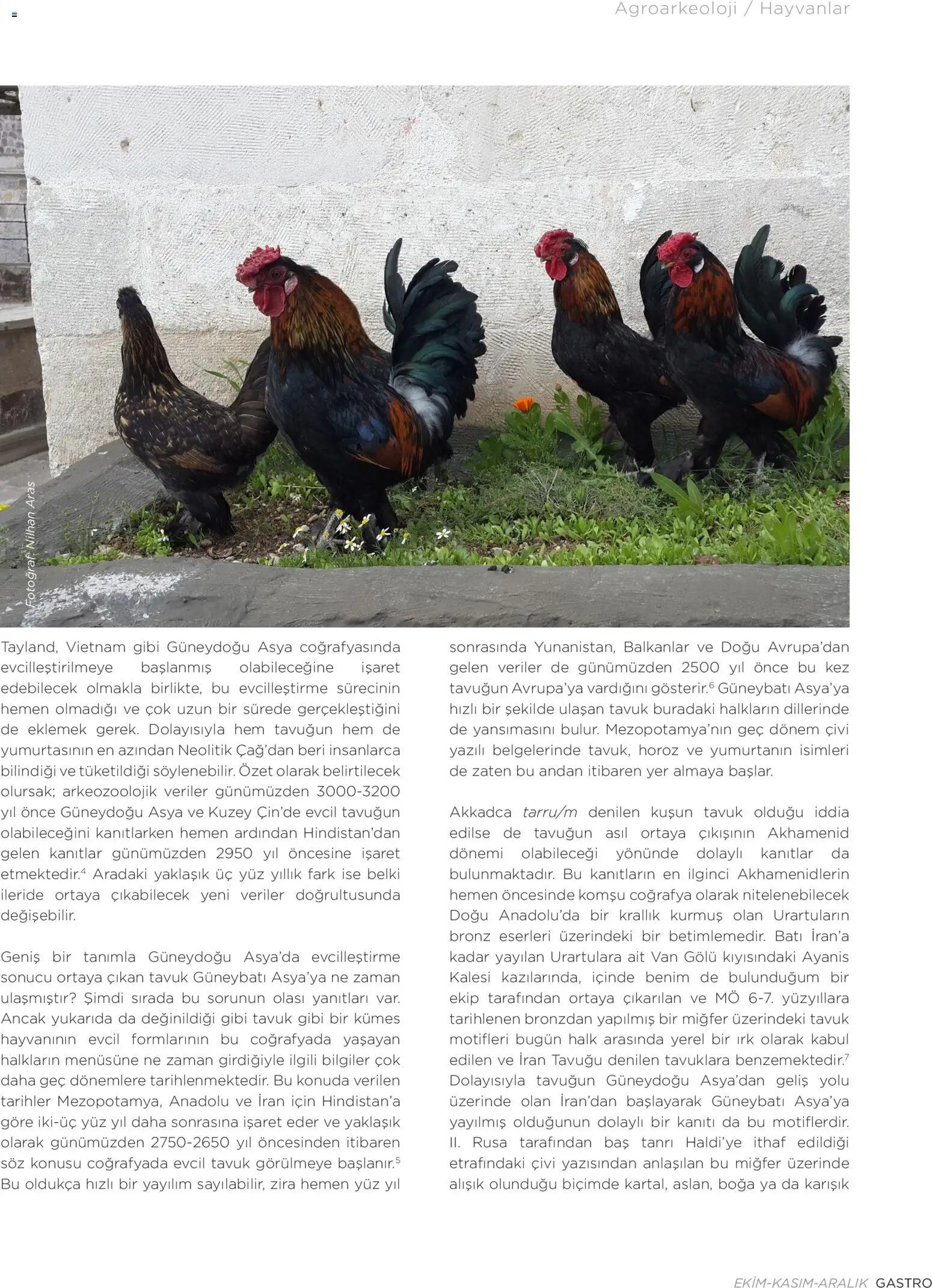 Metr  Katalog Gastro Ekim - Kasım - Aralık 2025