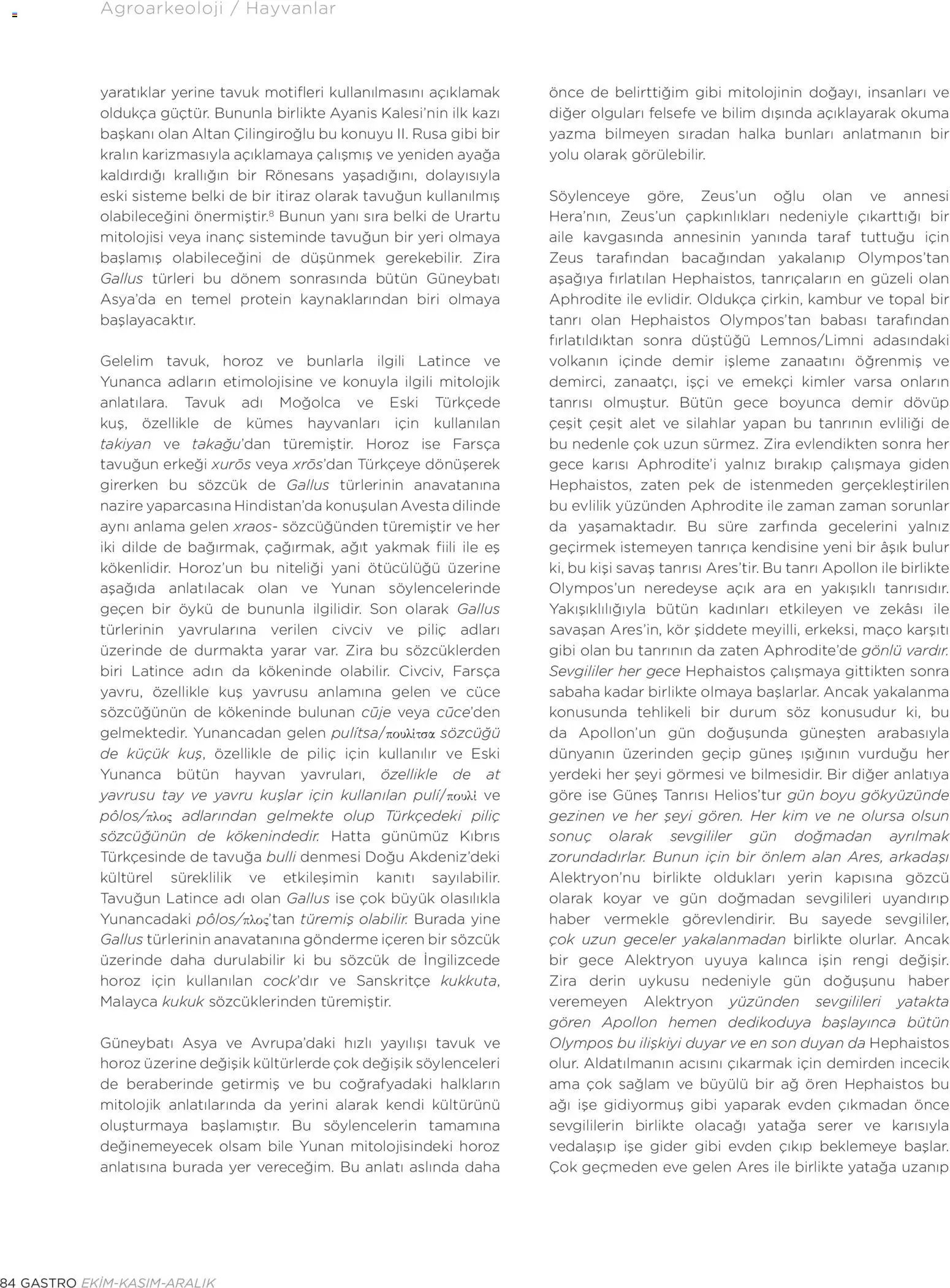 Metr  Katalog Gastro Ekim - Kasım - Aralık 2025