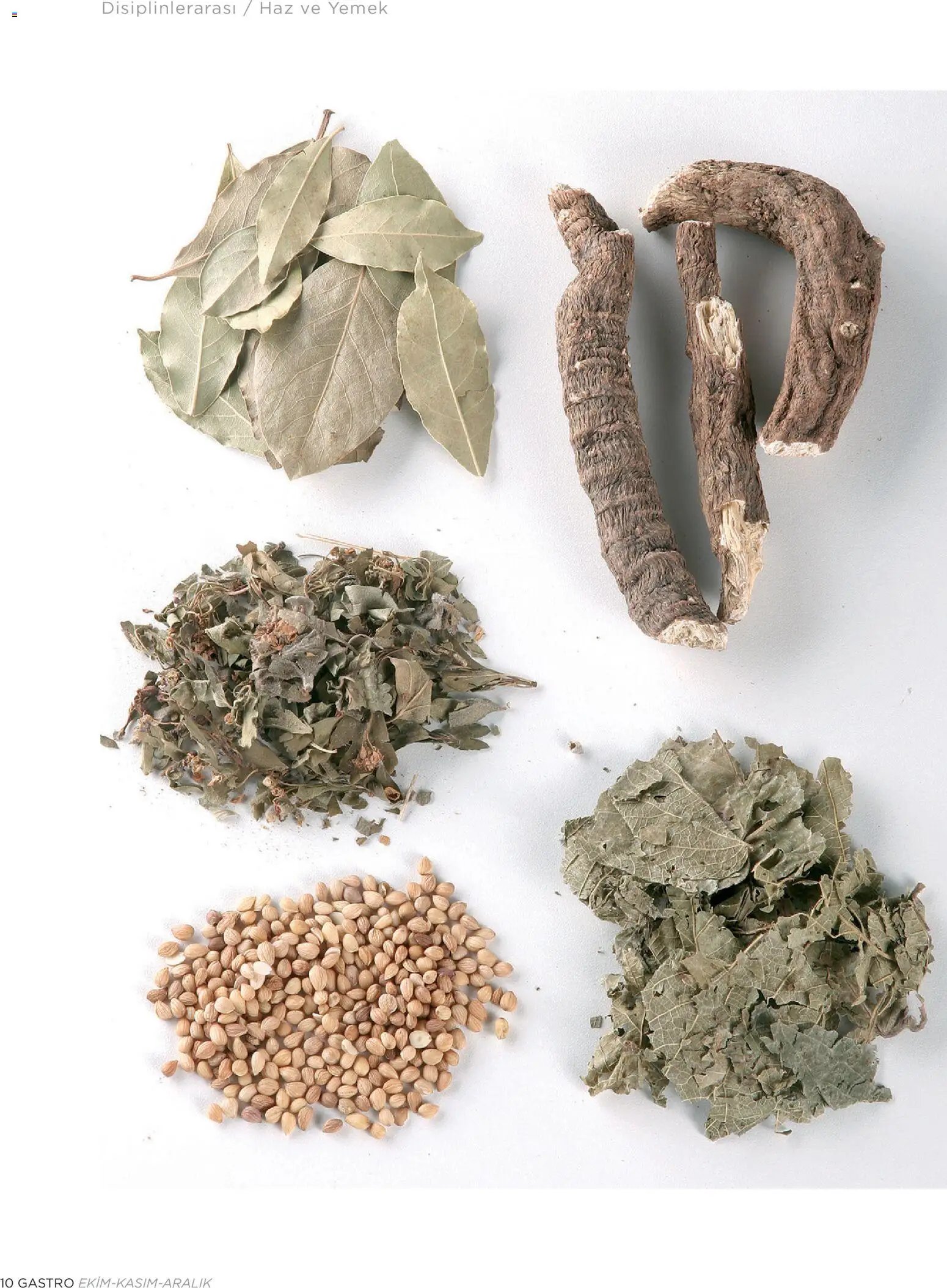 Metr  Katalog Gastro Ekim - Kasım - Aralık 2025