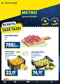 Metro - Katalog