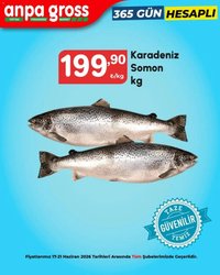 Anpa Gross İndirim