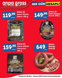Anpa Gross - 365 Gün Hesaplı