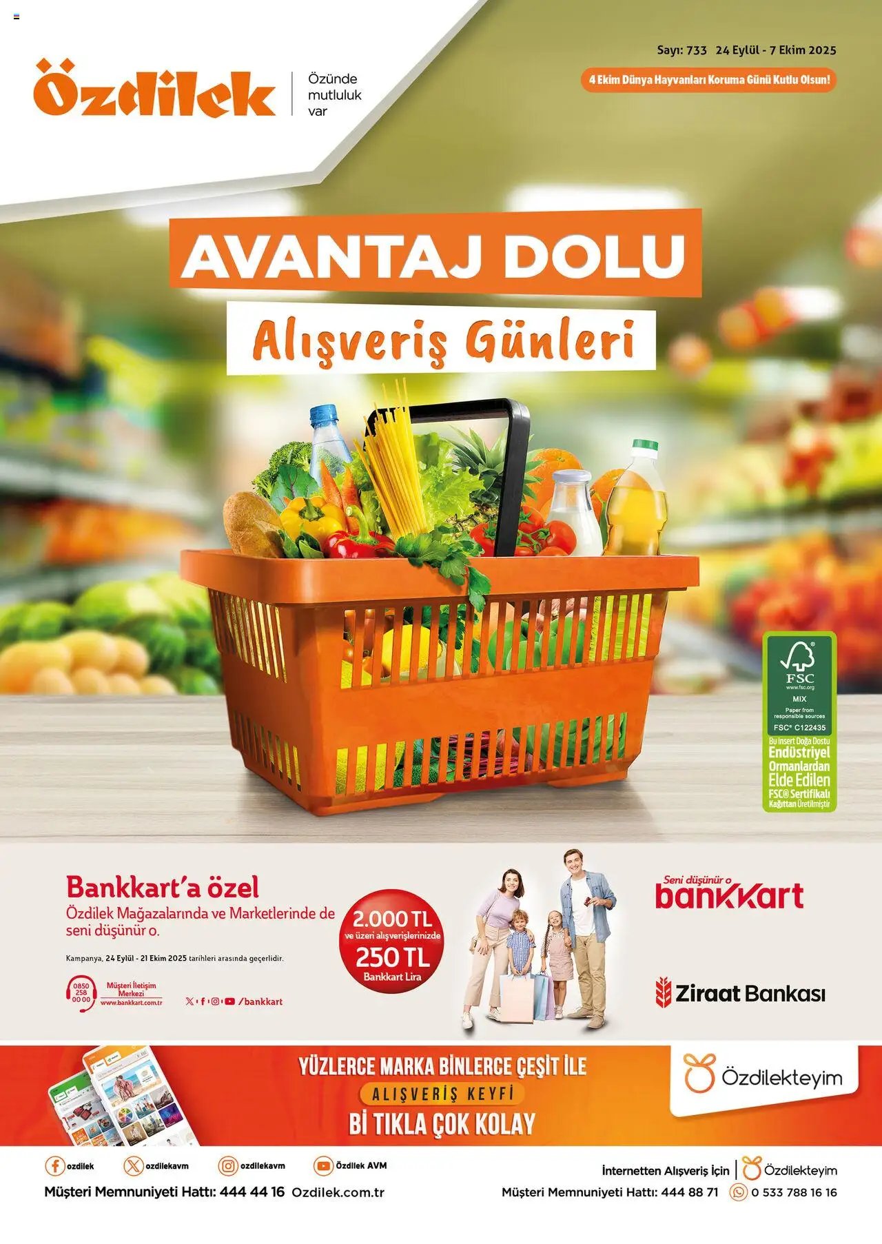 Özdilek Katalog