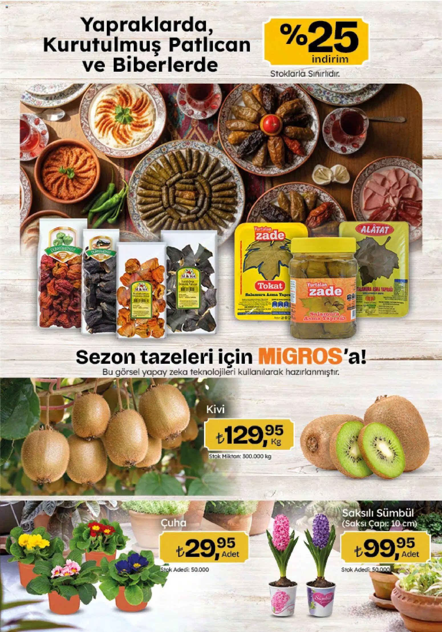 Migros Katalog - 5M Migroskop Dijital