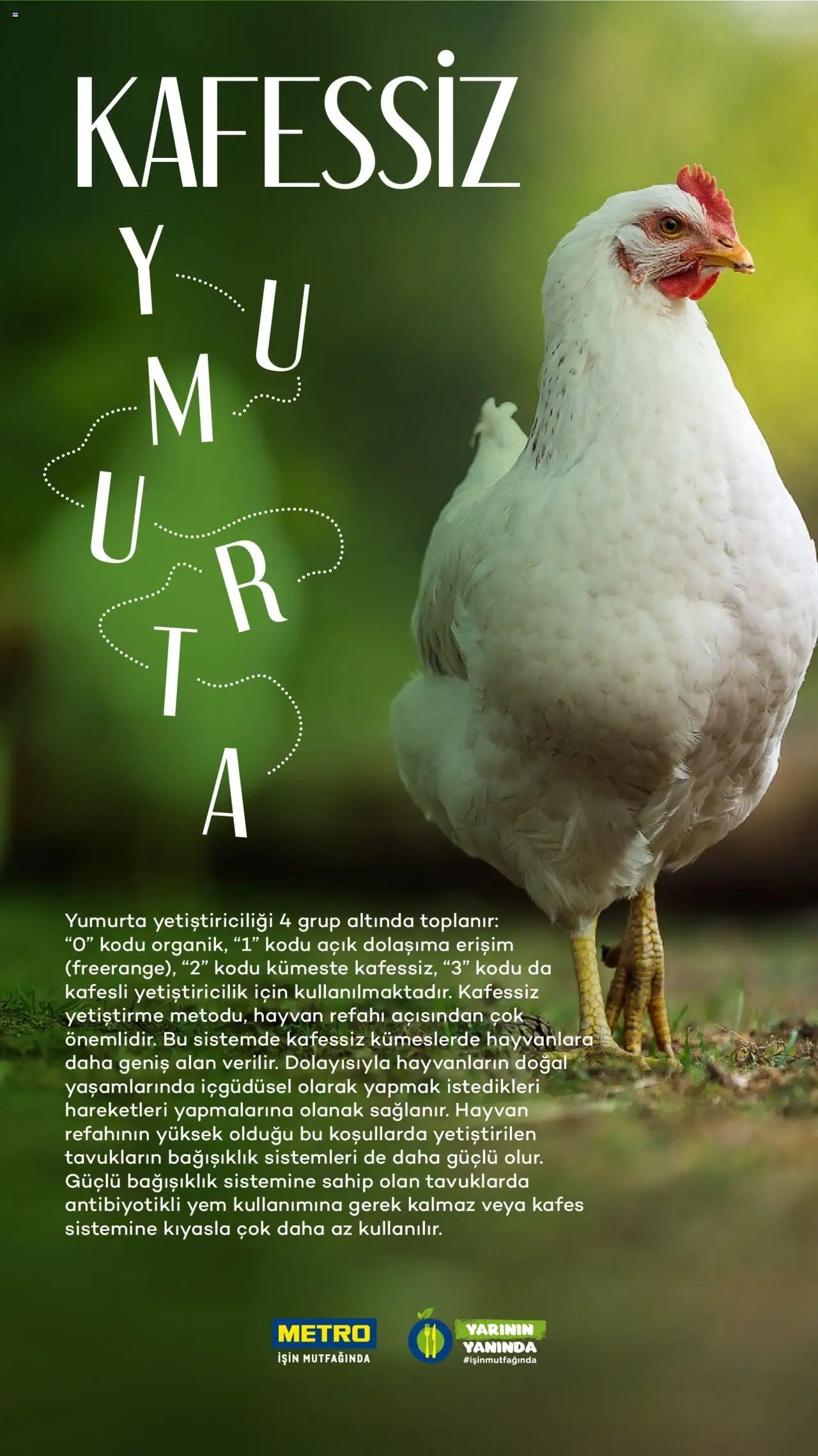 Metro Sürdürülebilir Ürünler Kataloğu