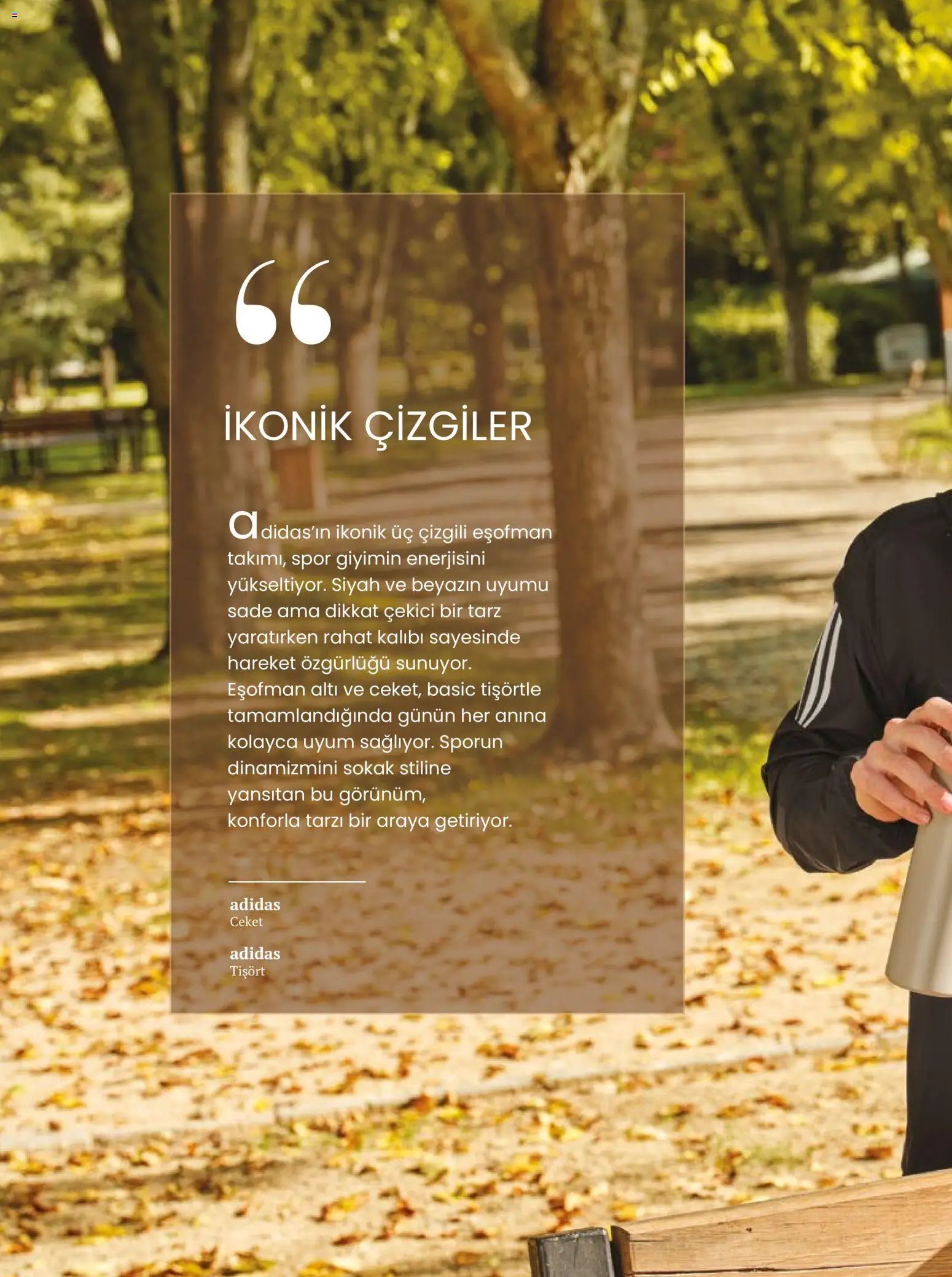 Özdilek Sonbahar - Kış Kataloğu