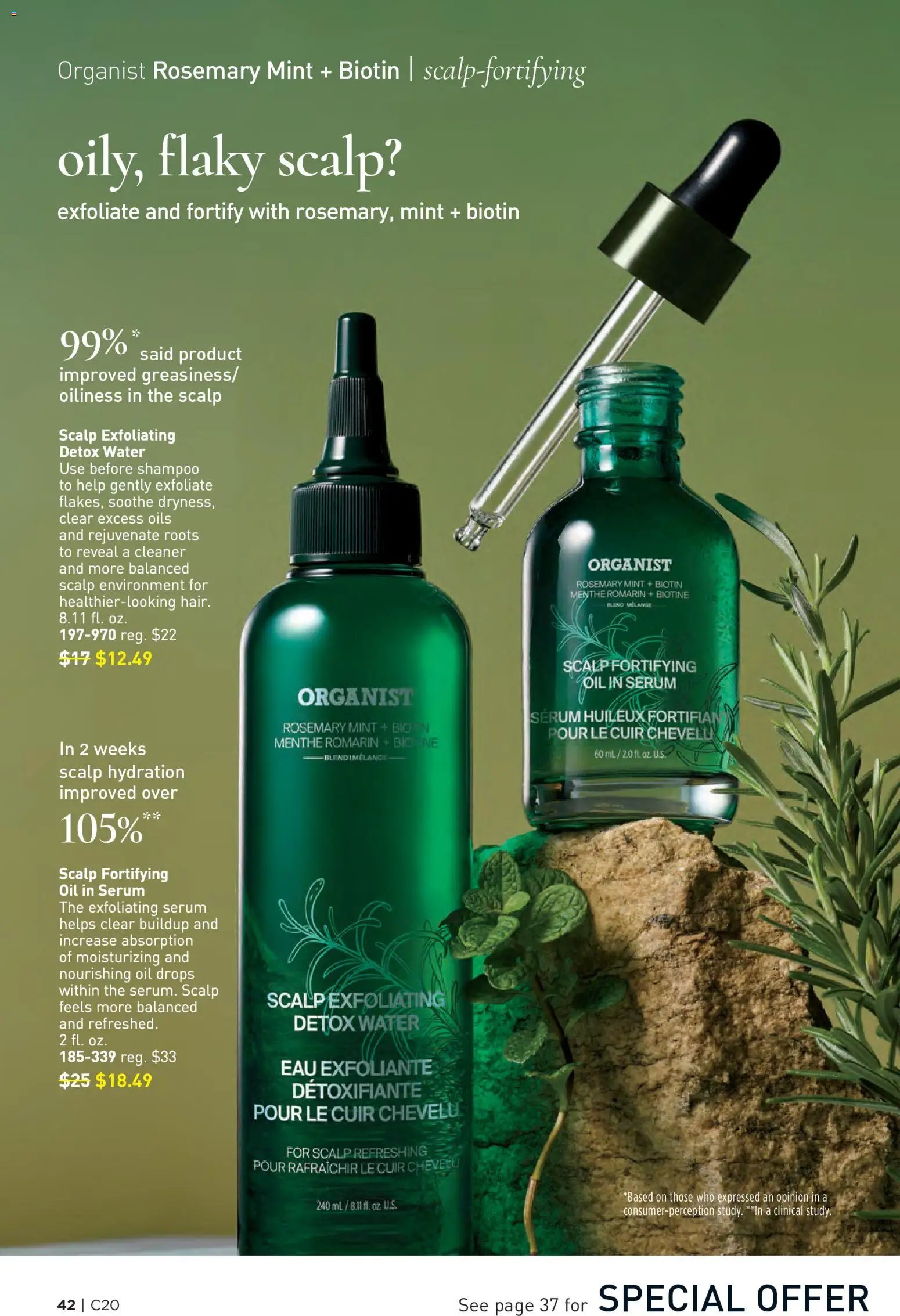 Avon Brochure