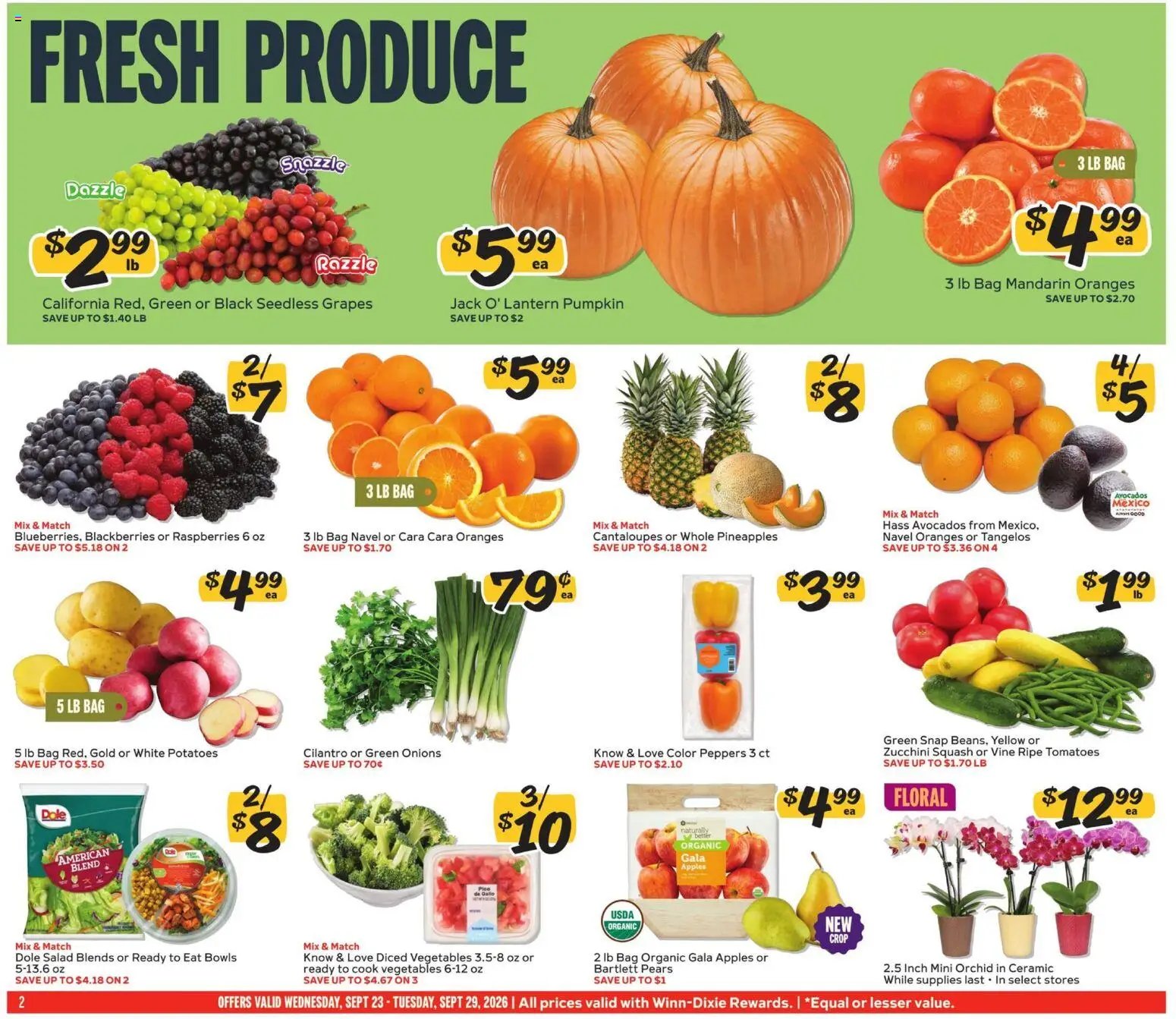 Winn Dixie Weekly Ad