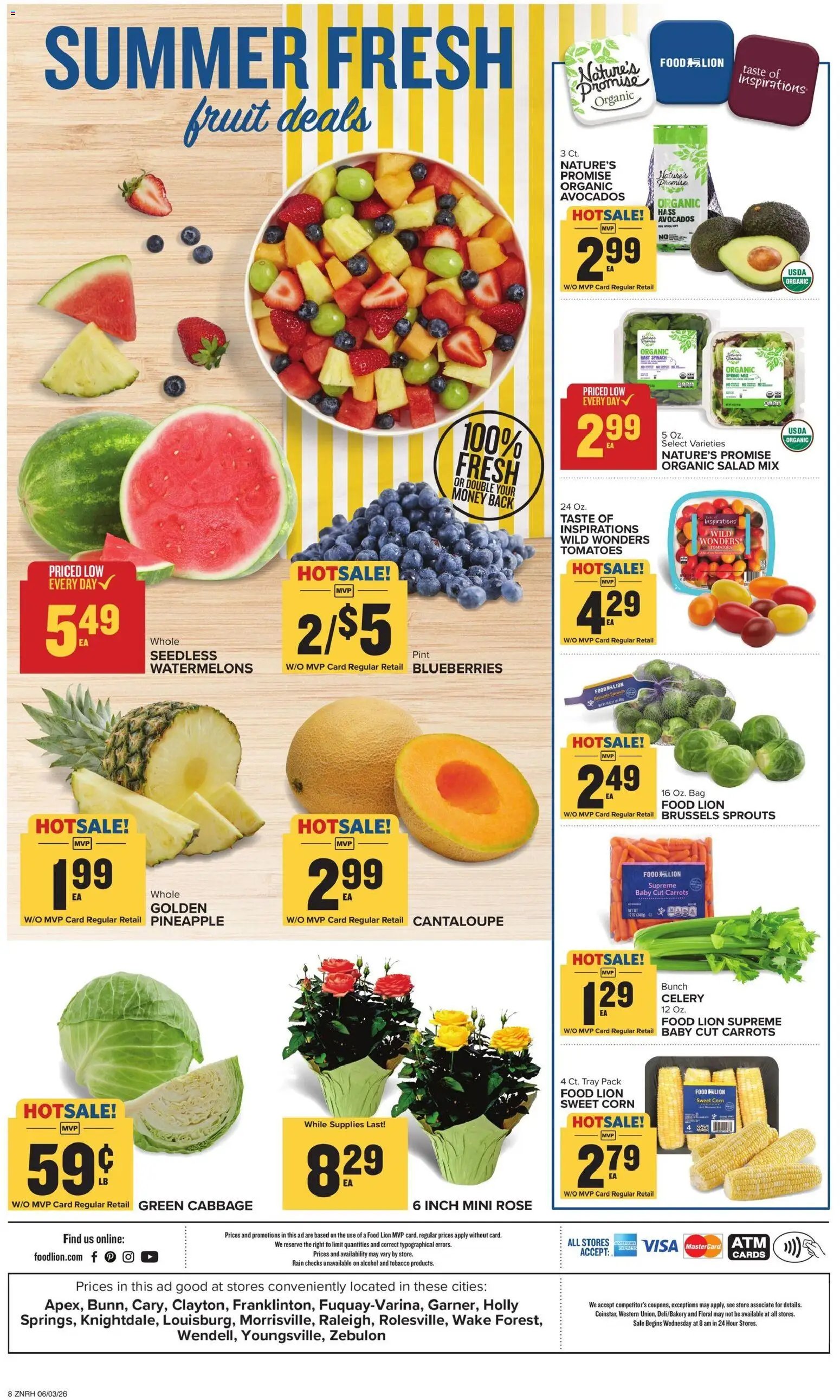 Food Lion Weekly Ad