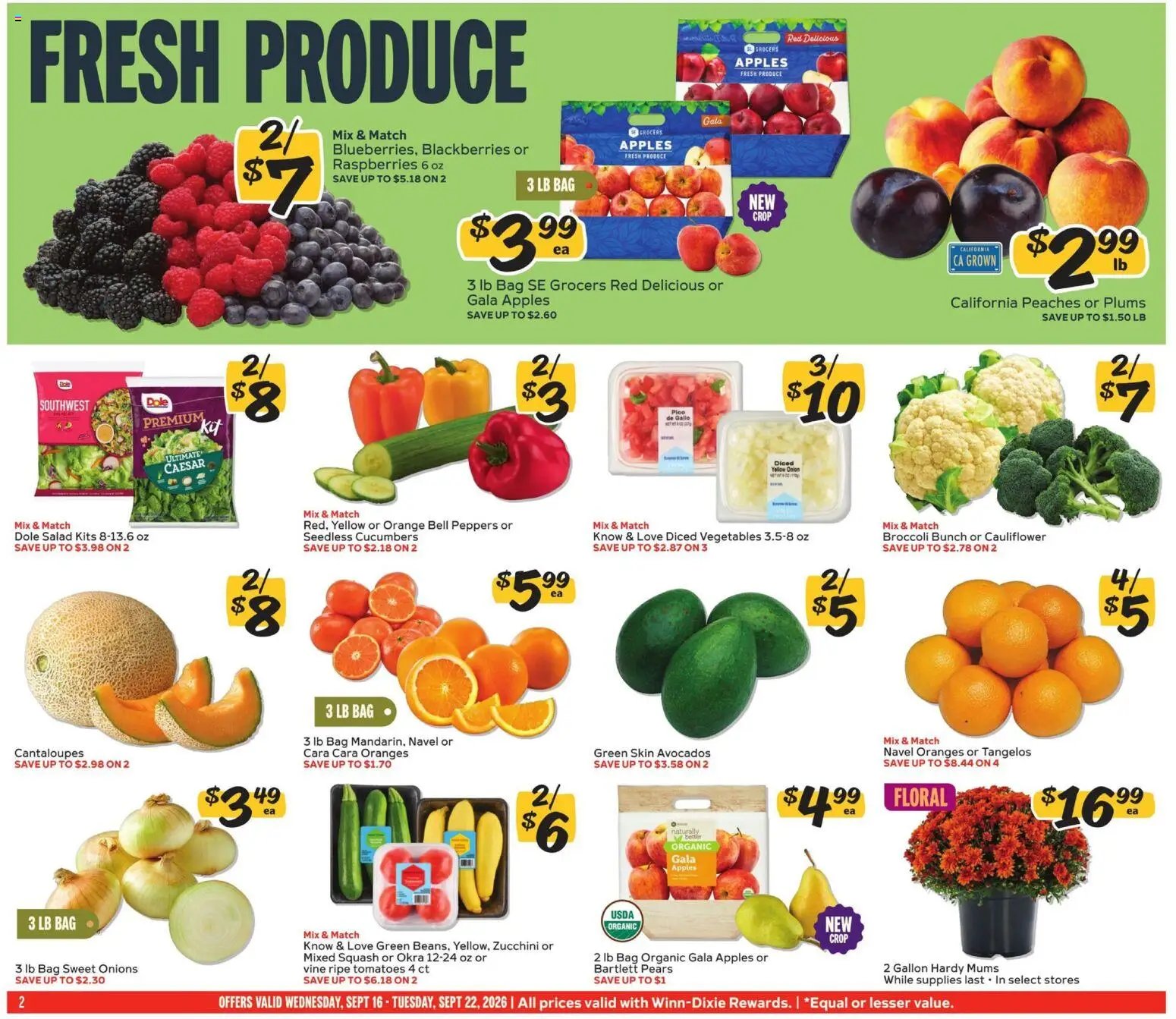 Winn Dixie Weekly Ad