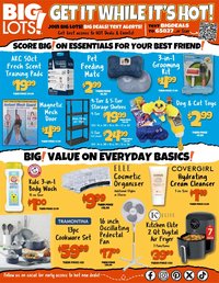 Big Lots Weekly Ad