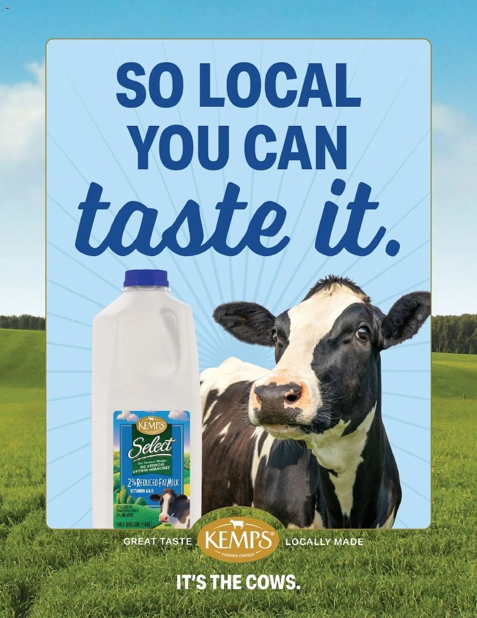 Piggly Wiggly Weekly Ad