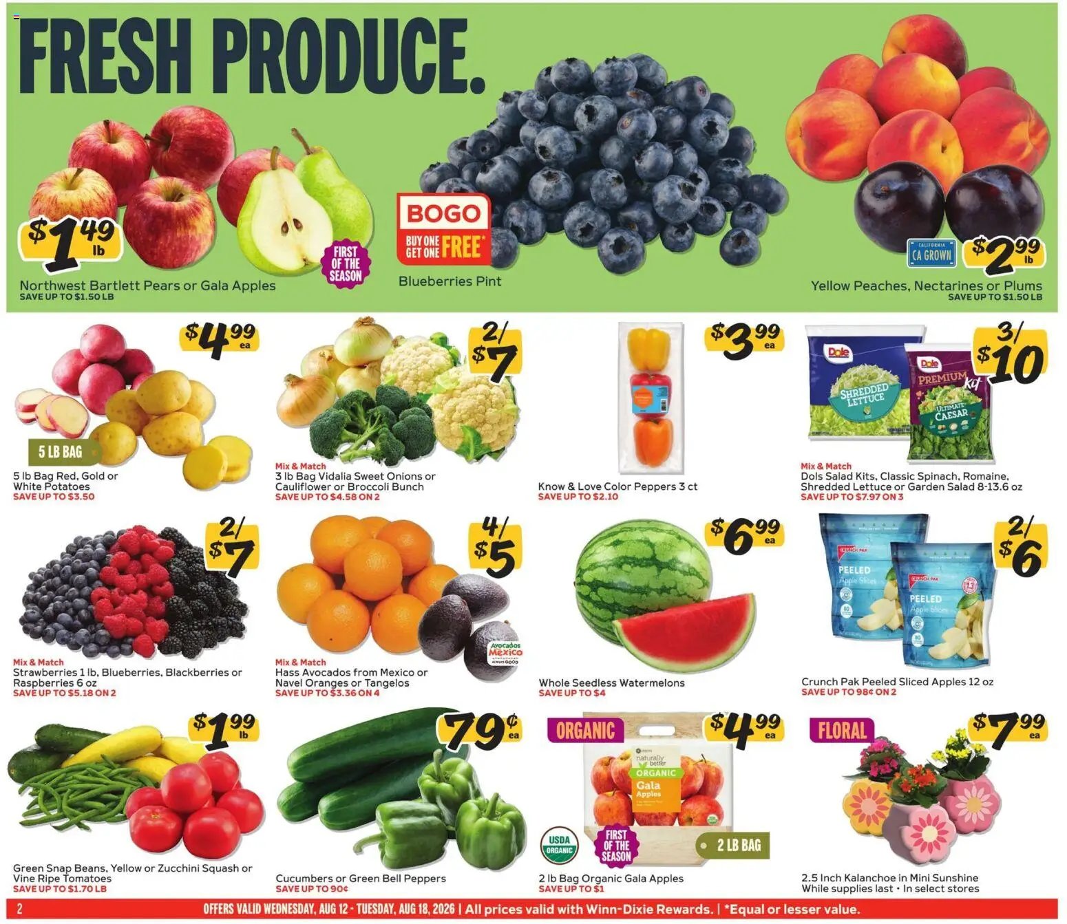 Winn Dixie Weekly Ad