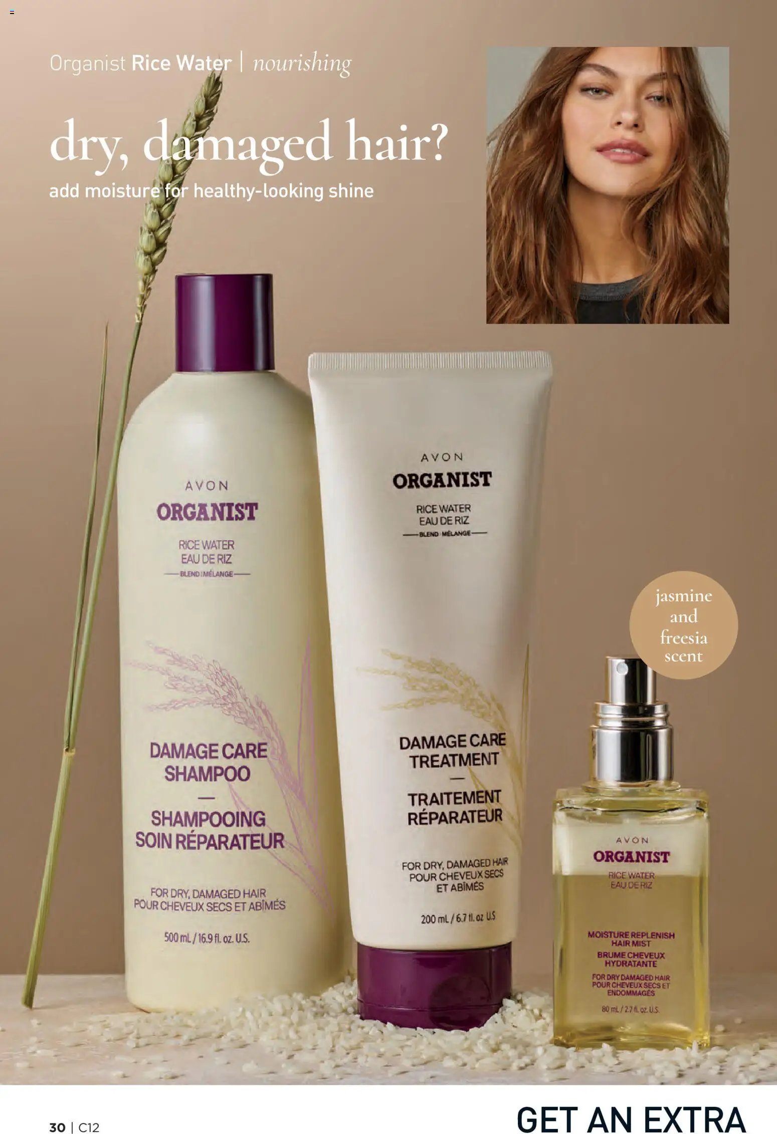 Avon Brochure