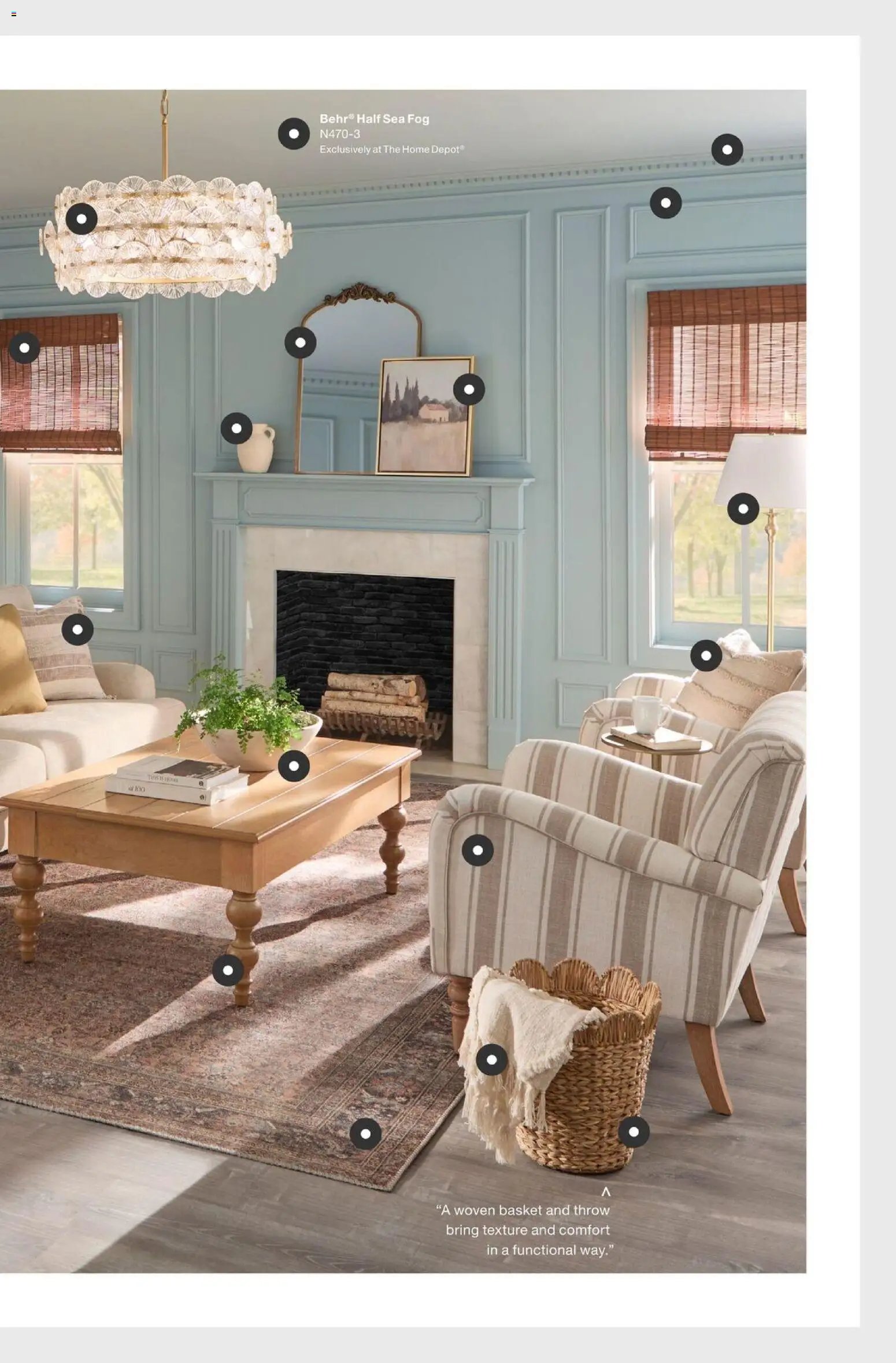 Home Depot Catalog