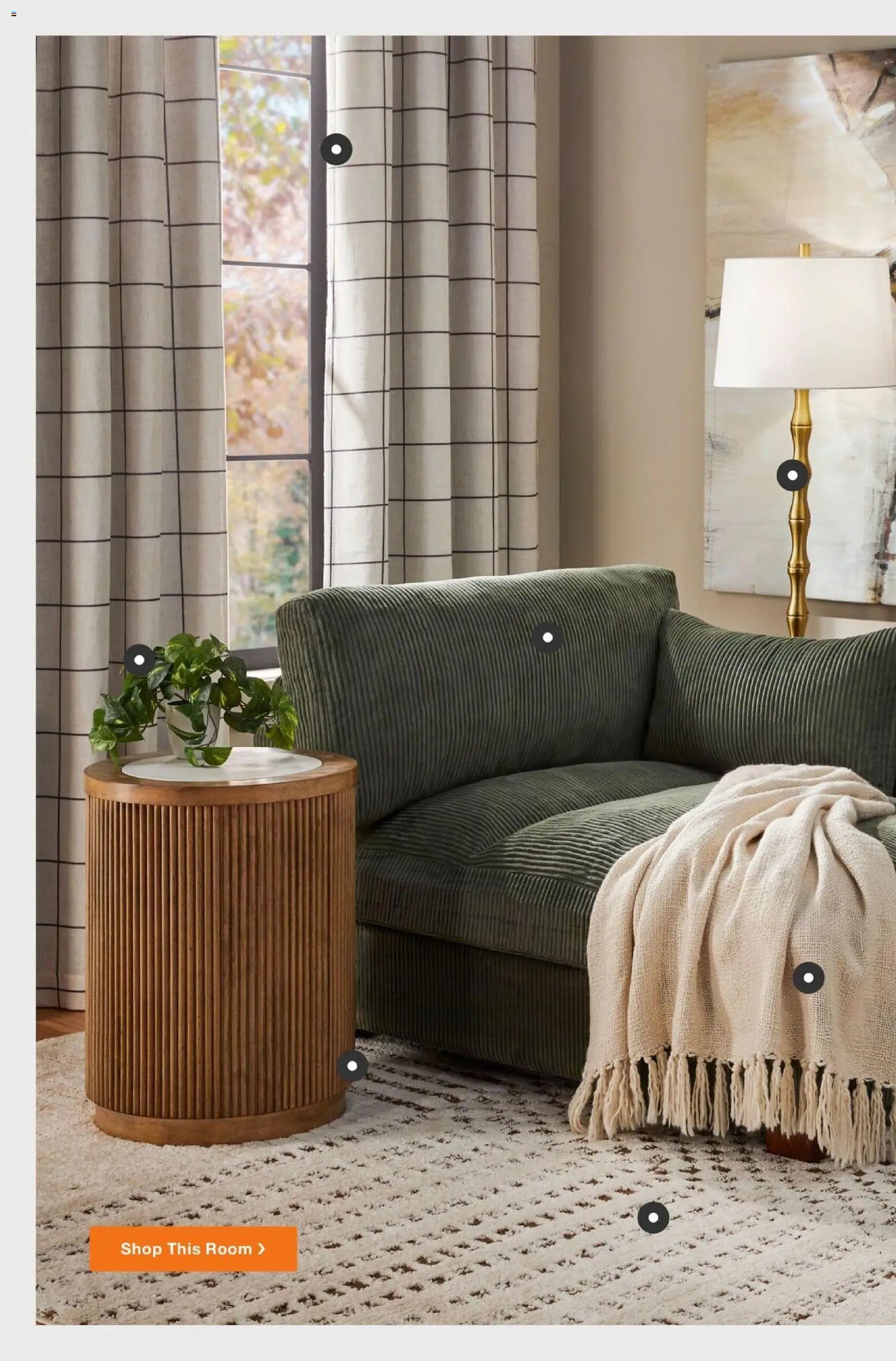 Home Depot Catalog