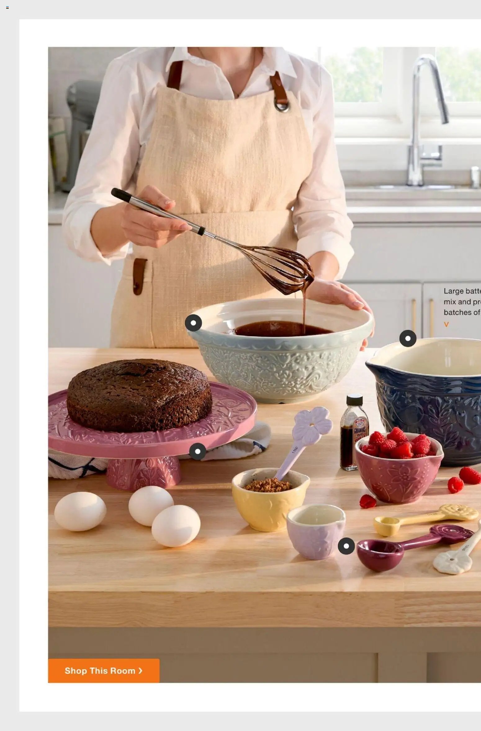 Home Depot Catalog