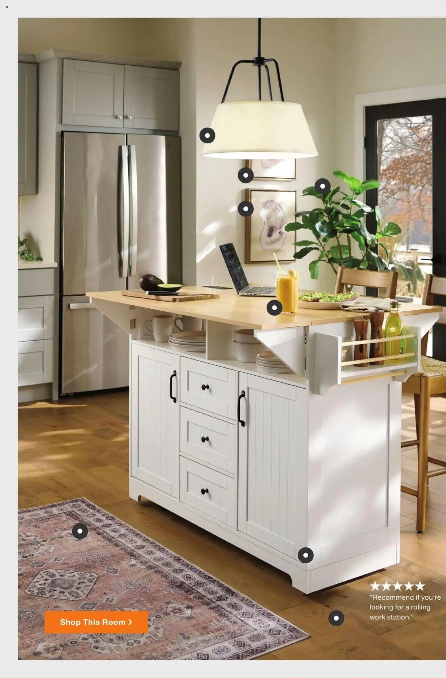 Home Depot Catalog