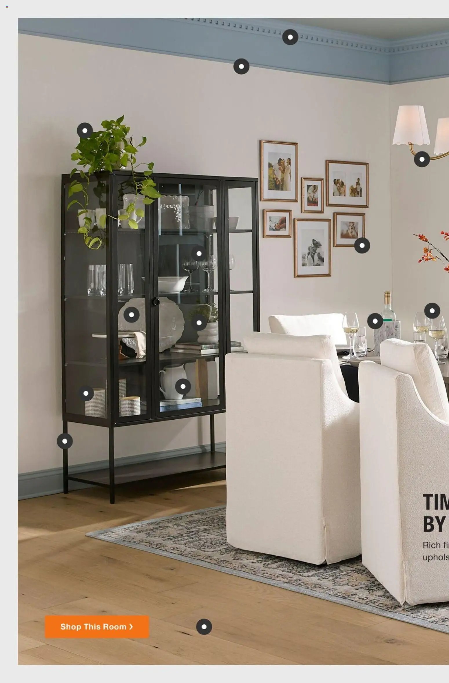Home Depot Catalog
