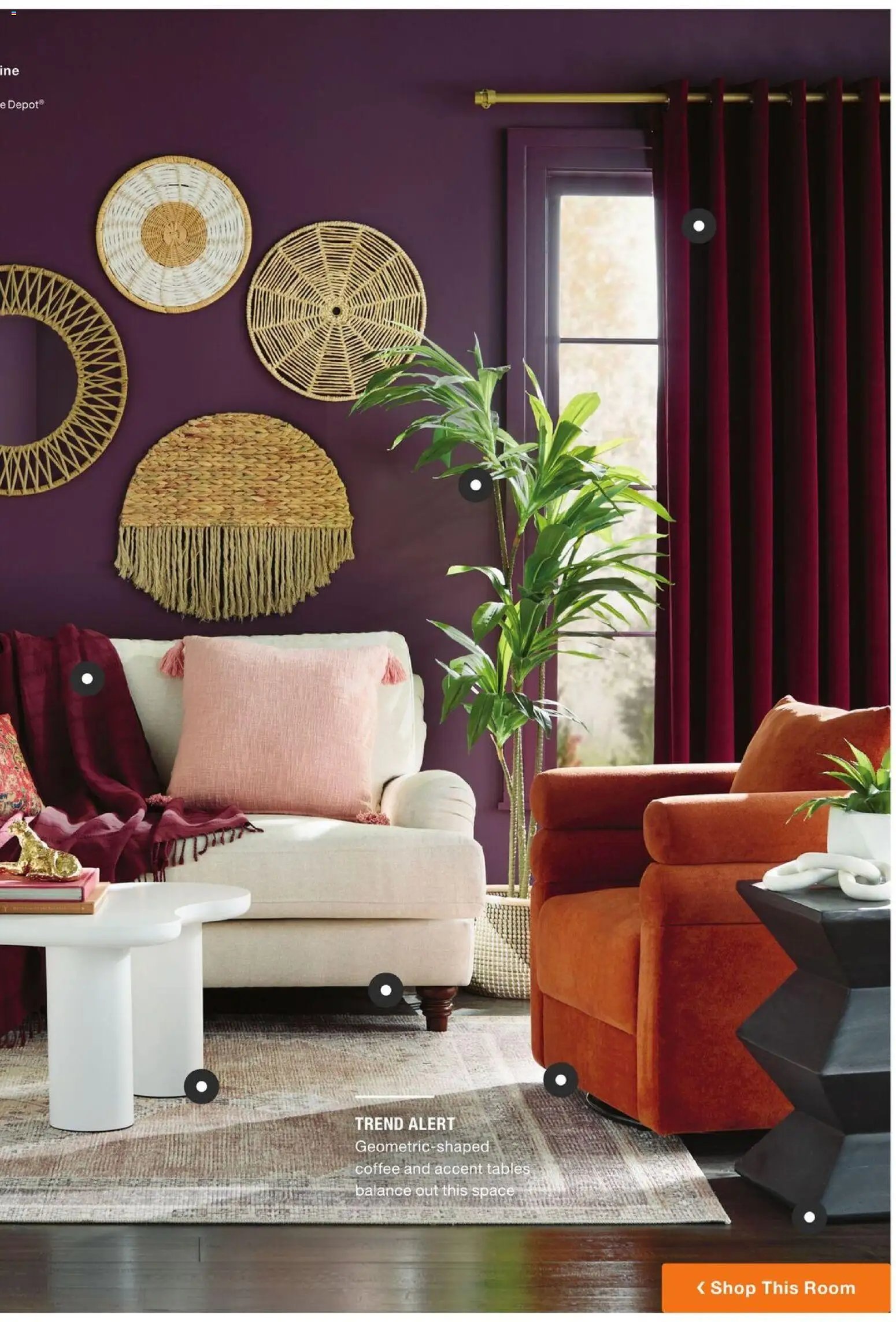 Home Depot Catalog