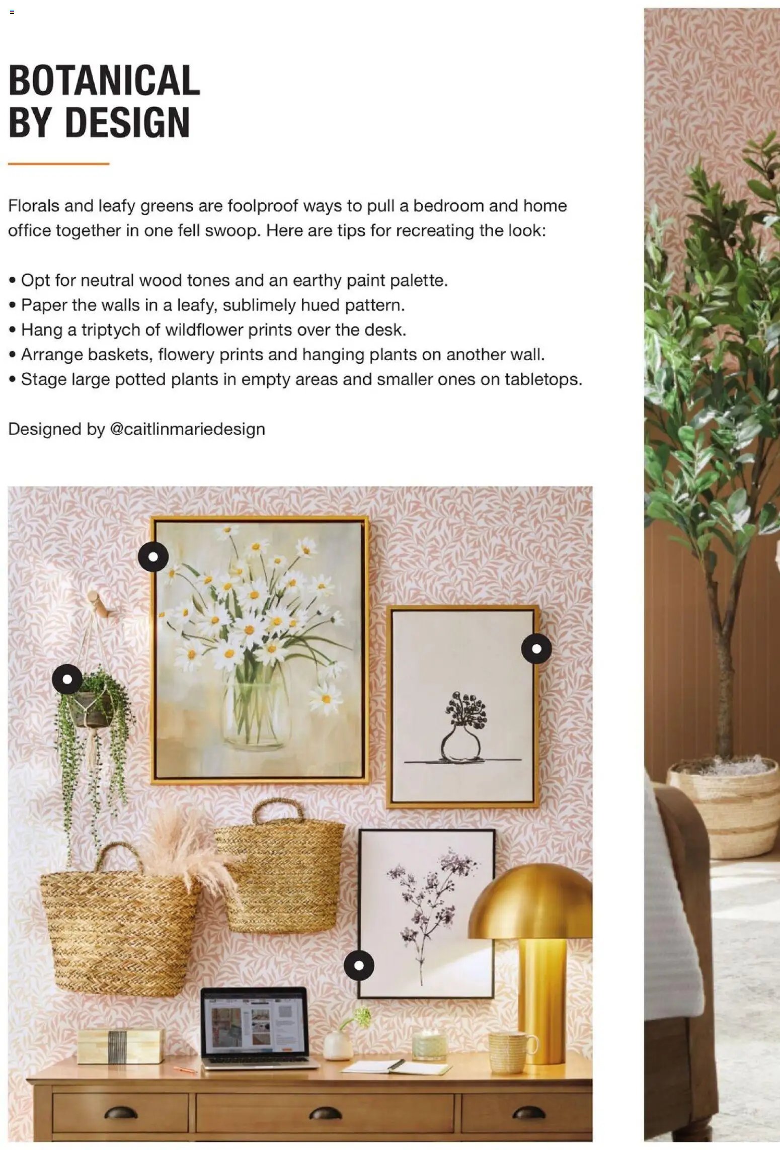 Home Depot Catalog