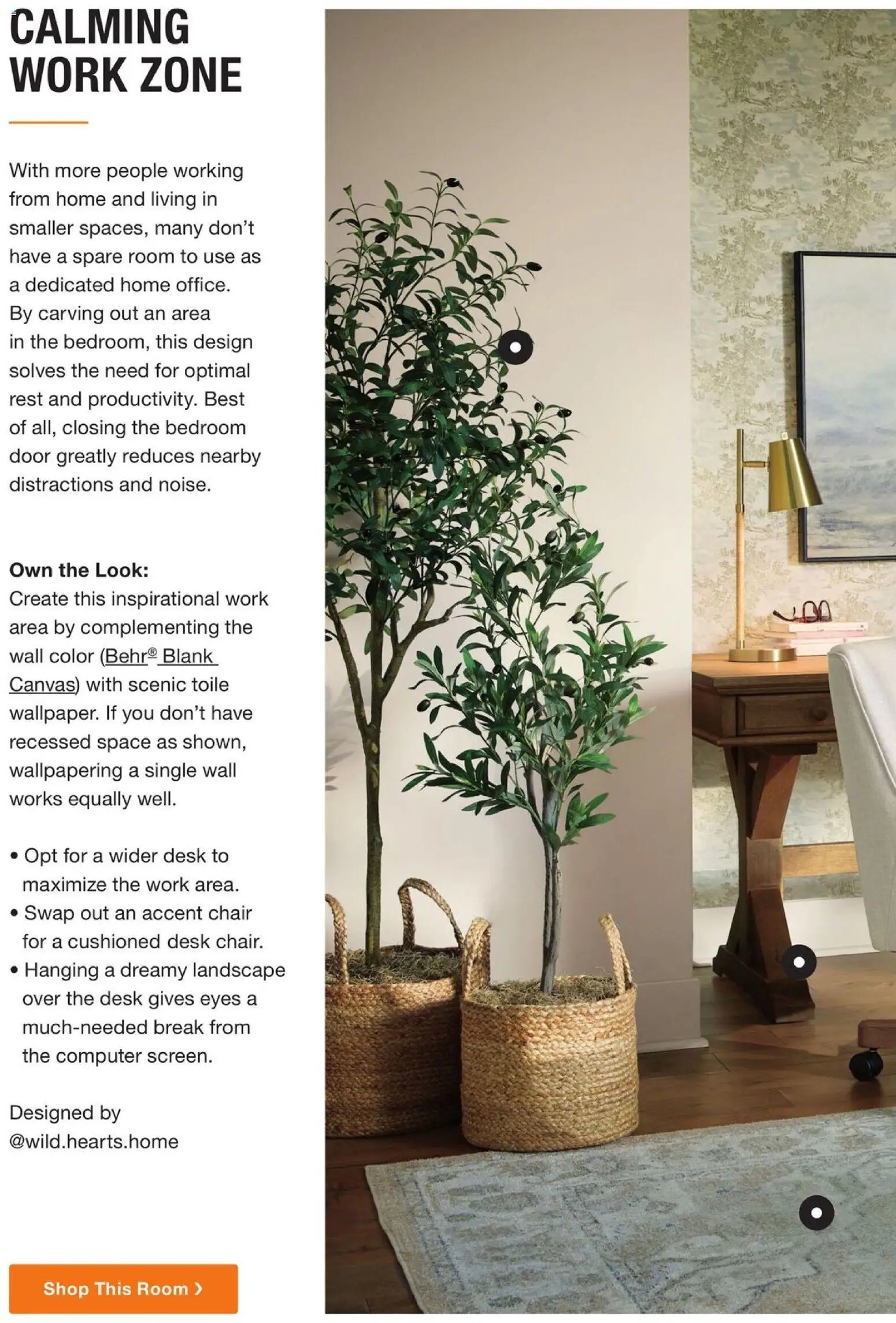 Home Depot Catalog