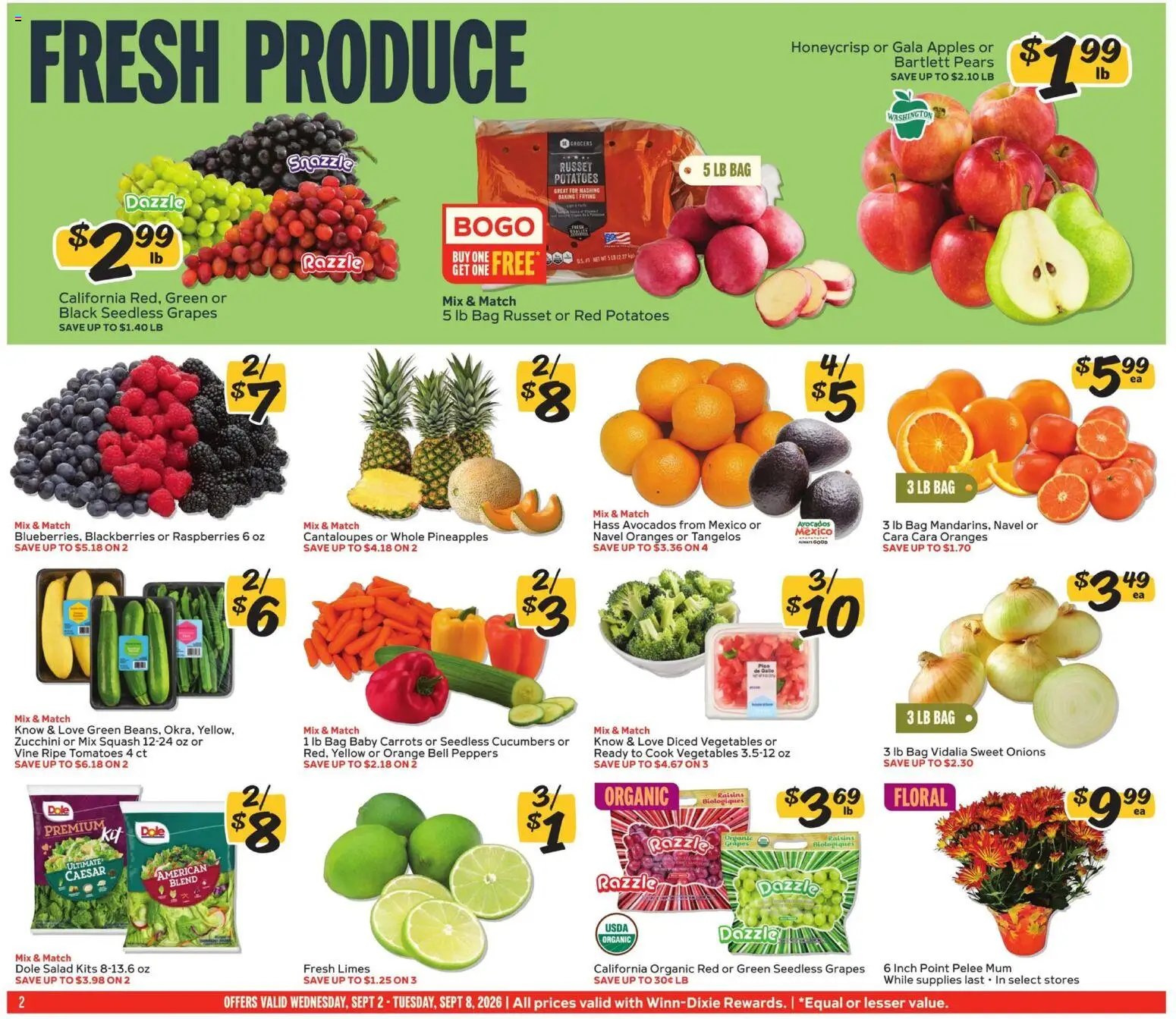Winn Dixie Weekly Circular - GA