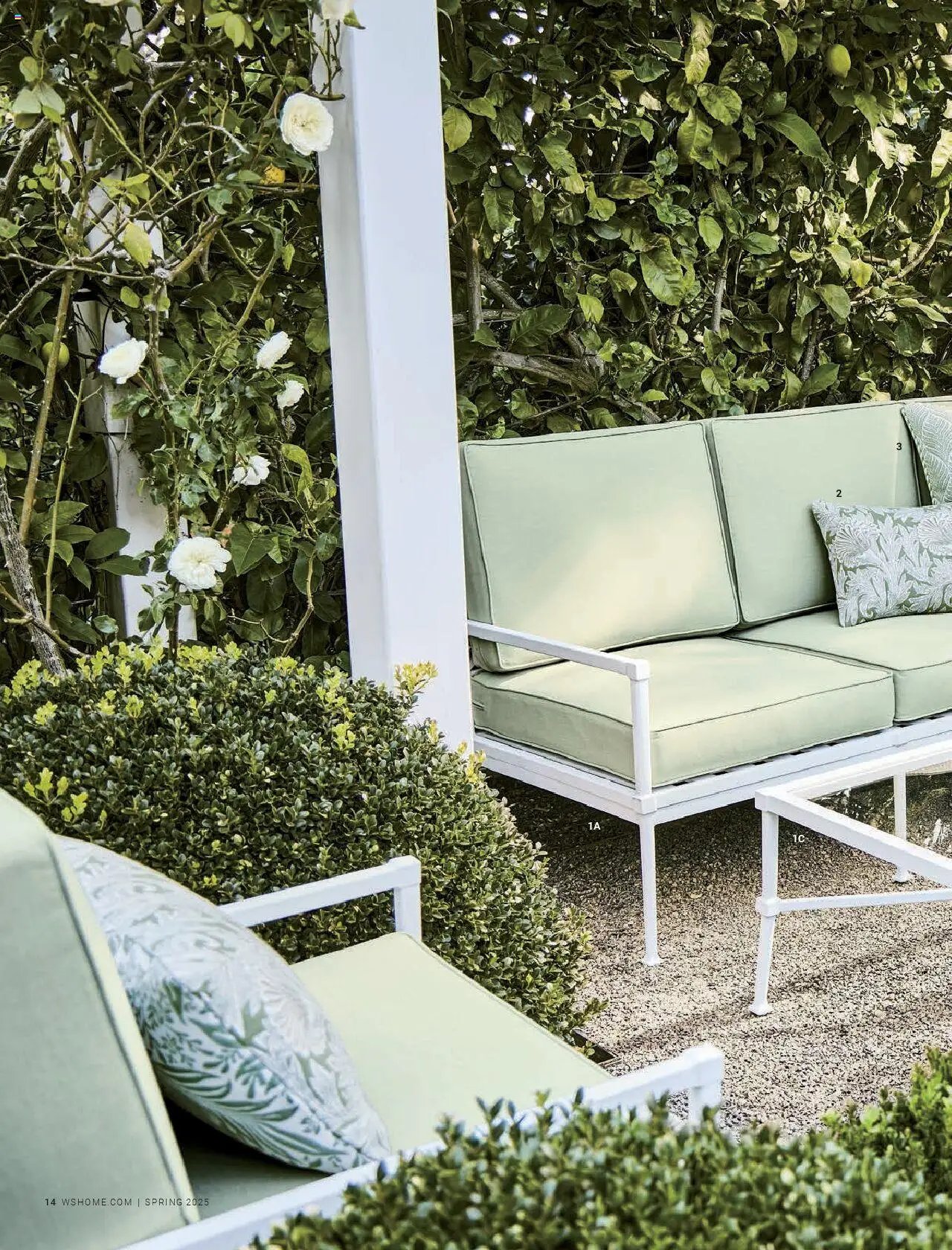 Williams-Sonoma Spring 2025 - Home (2025-03-01 - 2026-01-01) | 14