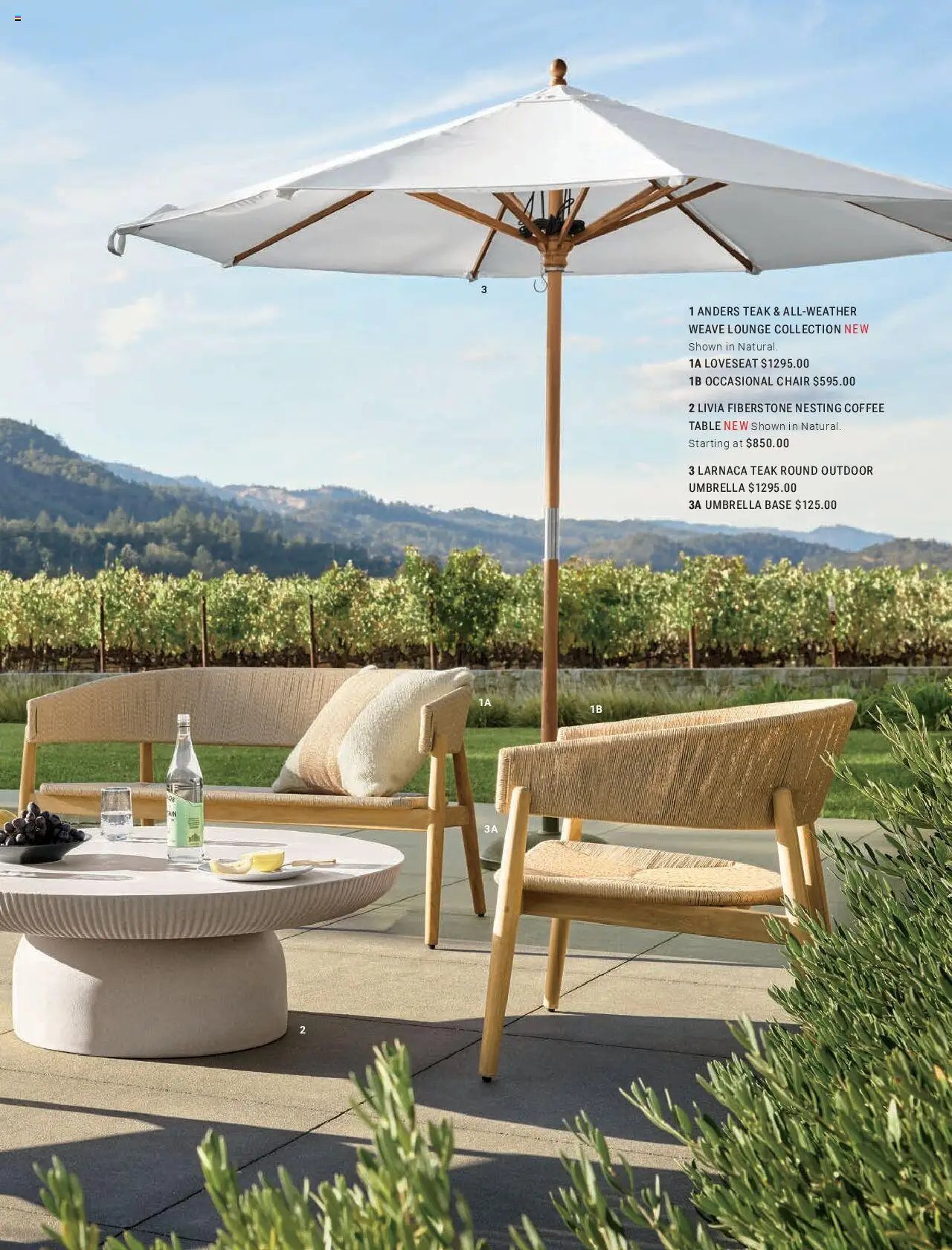 Williams-Sonoma Spring 2025 - Home (2025-03-01 - 2026-01-01) | 45