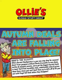Ollie's Ad 2