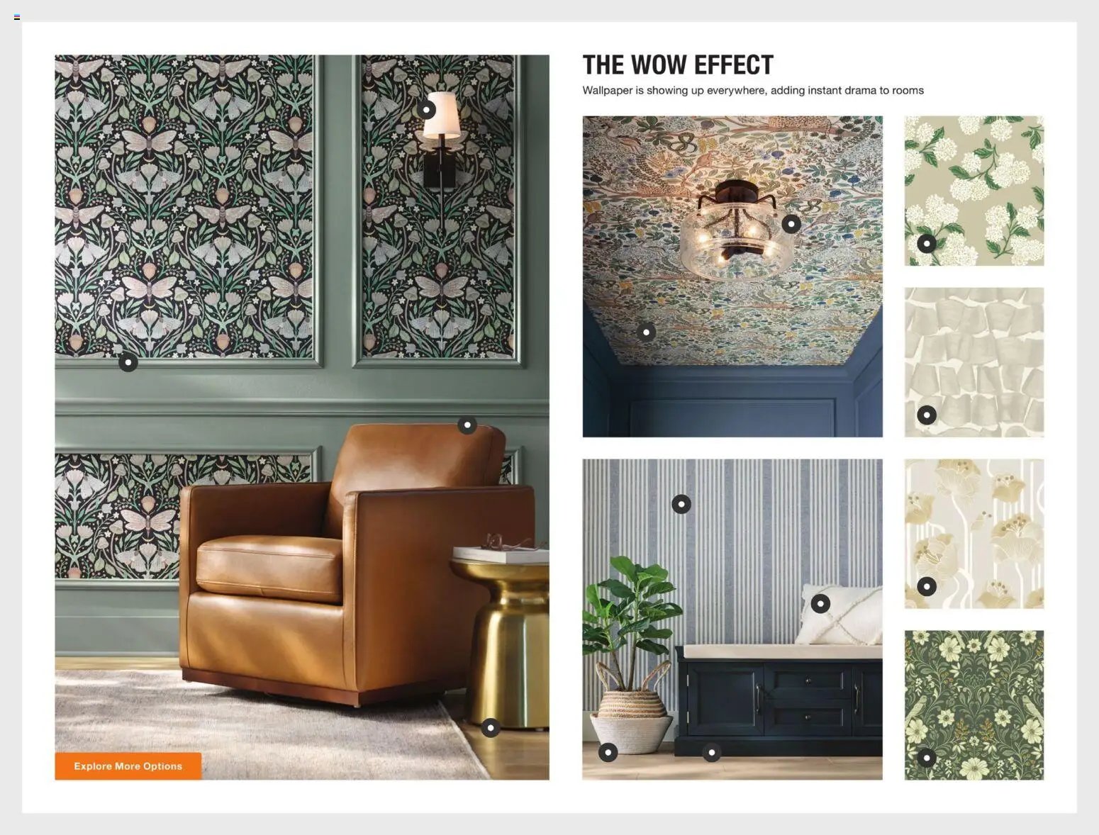 Home Depot Catalog