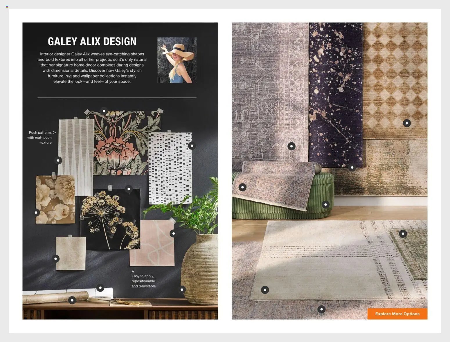 Home Depot Catalog