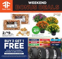 Mills Fleet Farm Weekly Ad