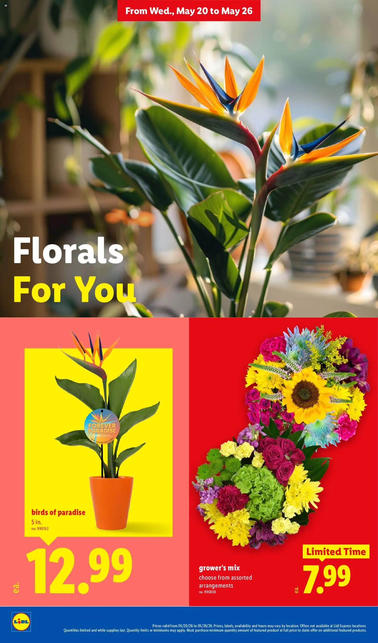 Lidl Weekly Ad
