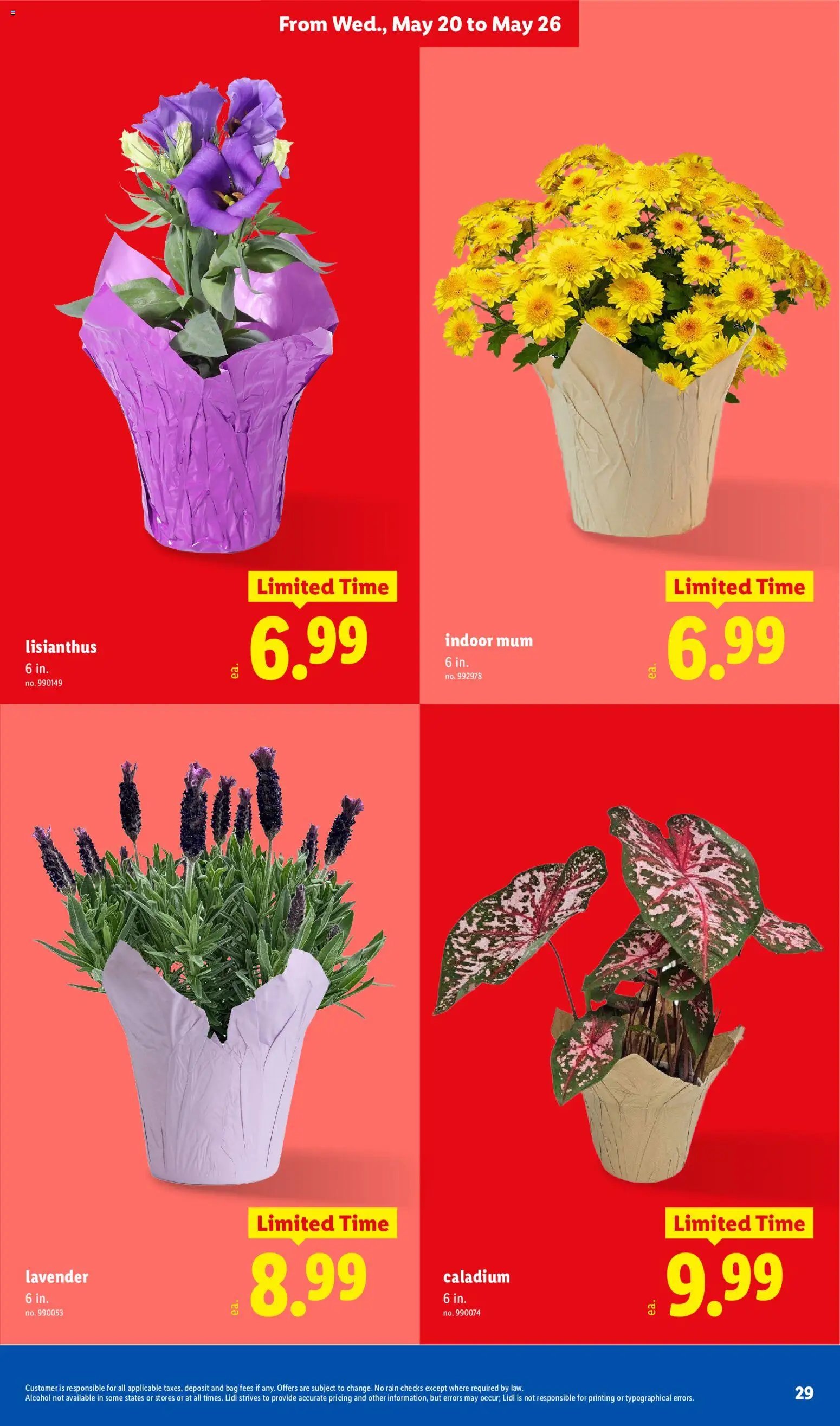 Lidl Weekly Ad