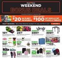 Mills Fleet Farm Weekend Ad