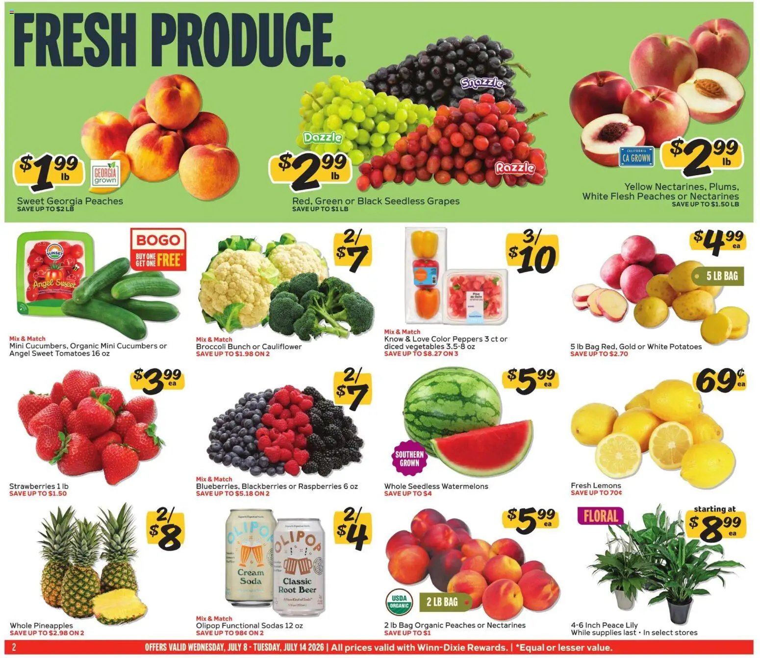 Winn Dixie Weekly Ad