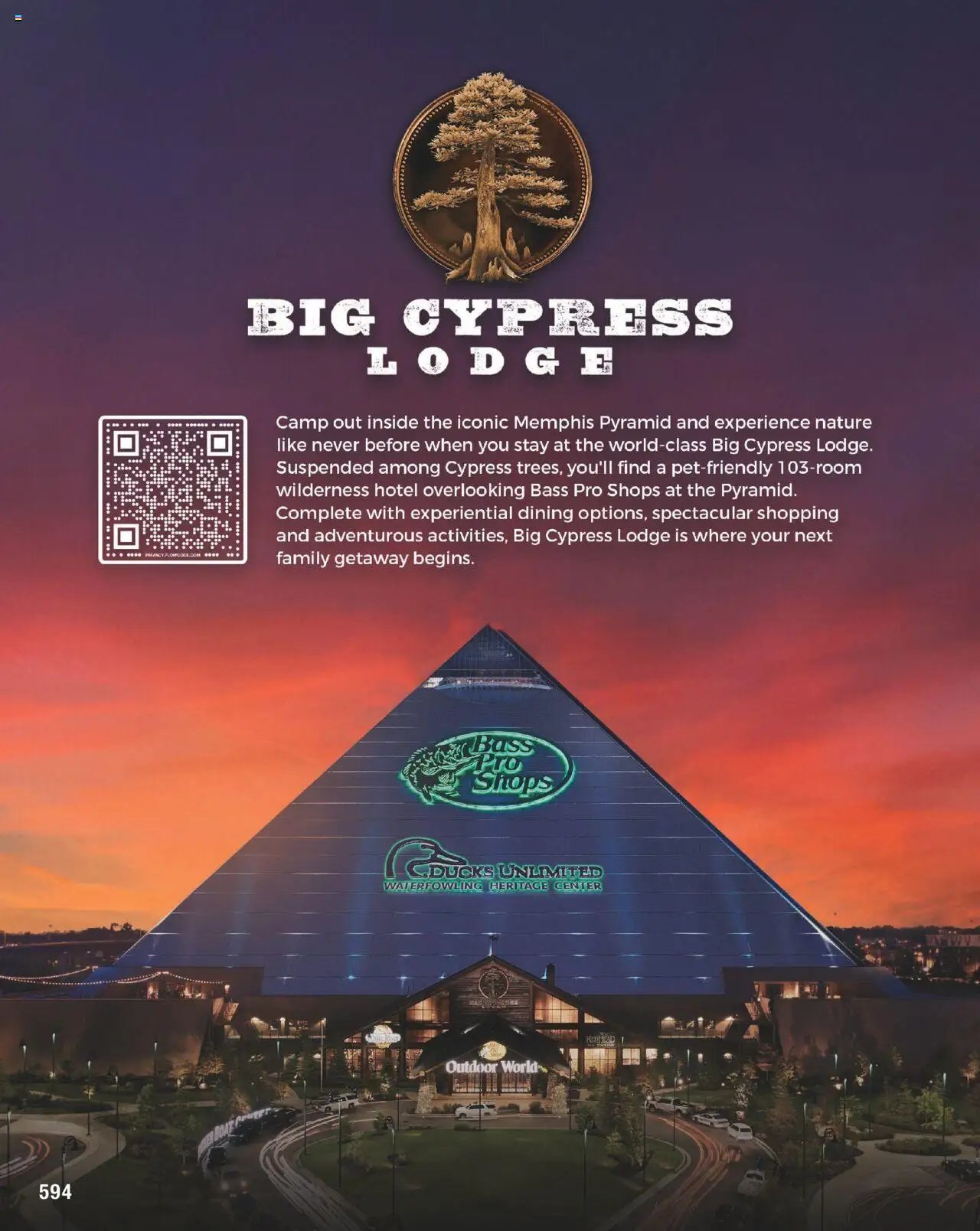 Bass Pro Spring Fishing Master 25