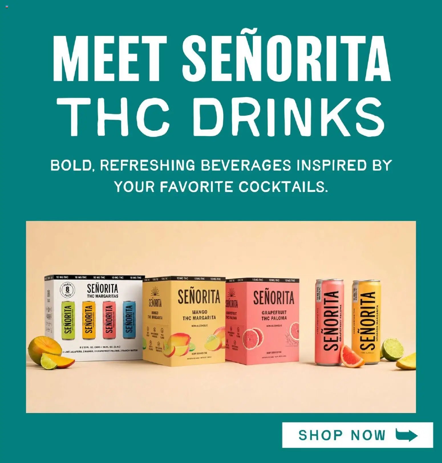 Lowes Foods - Weekly Ad - GA