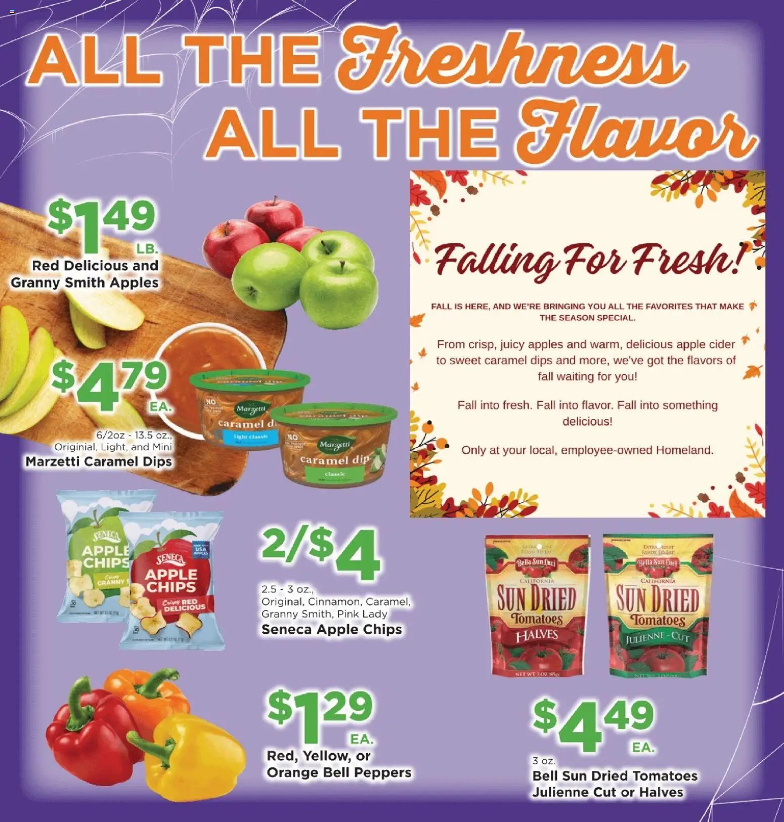 Homeland Bring Savings Home Shopper's Guide