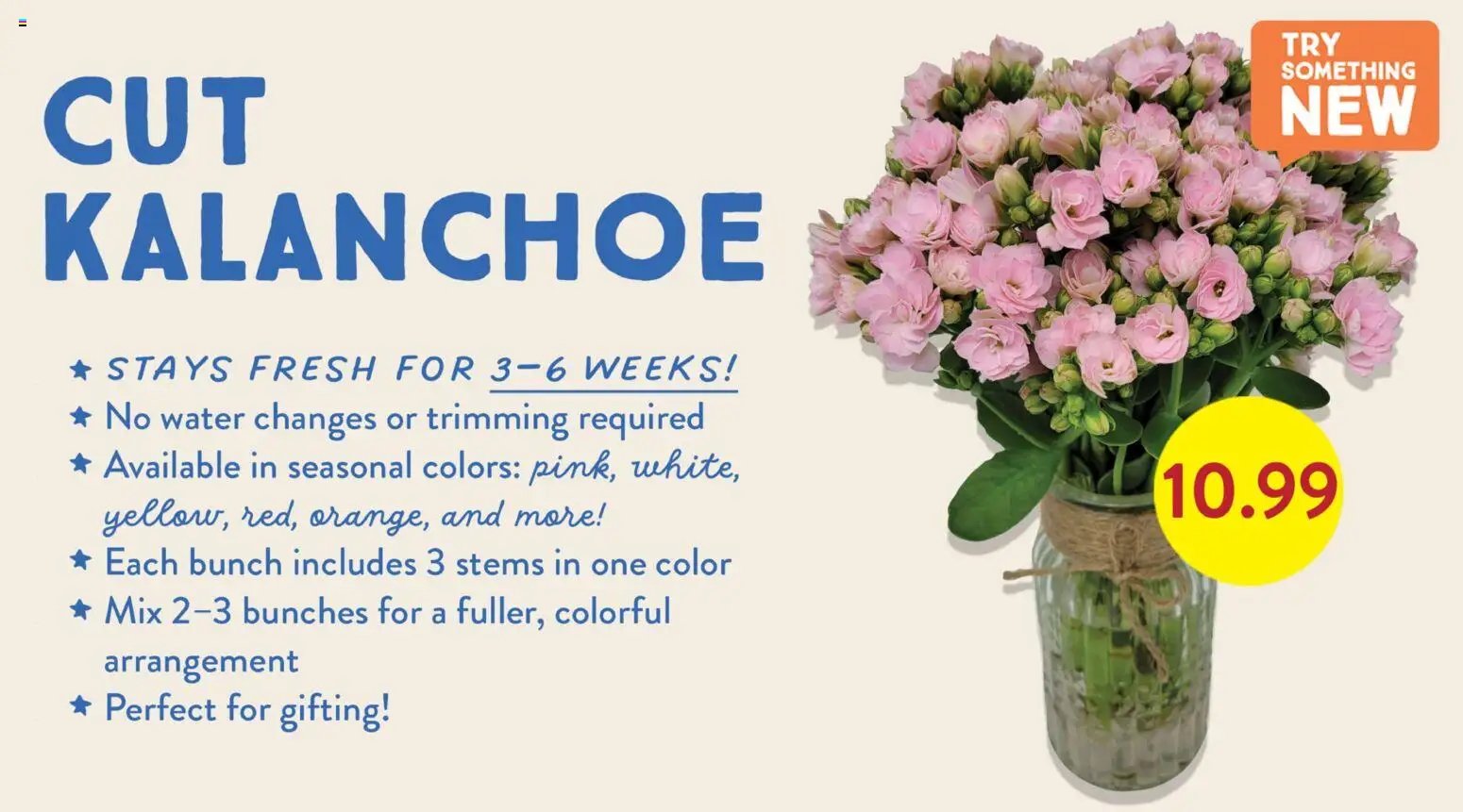 Fresh Thyme Monthly Ad - MN